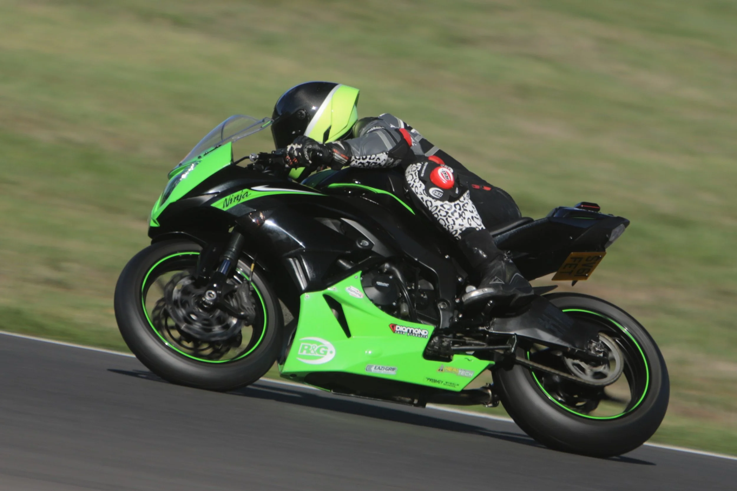 IMG_3974 crop.jpg
