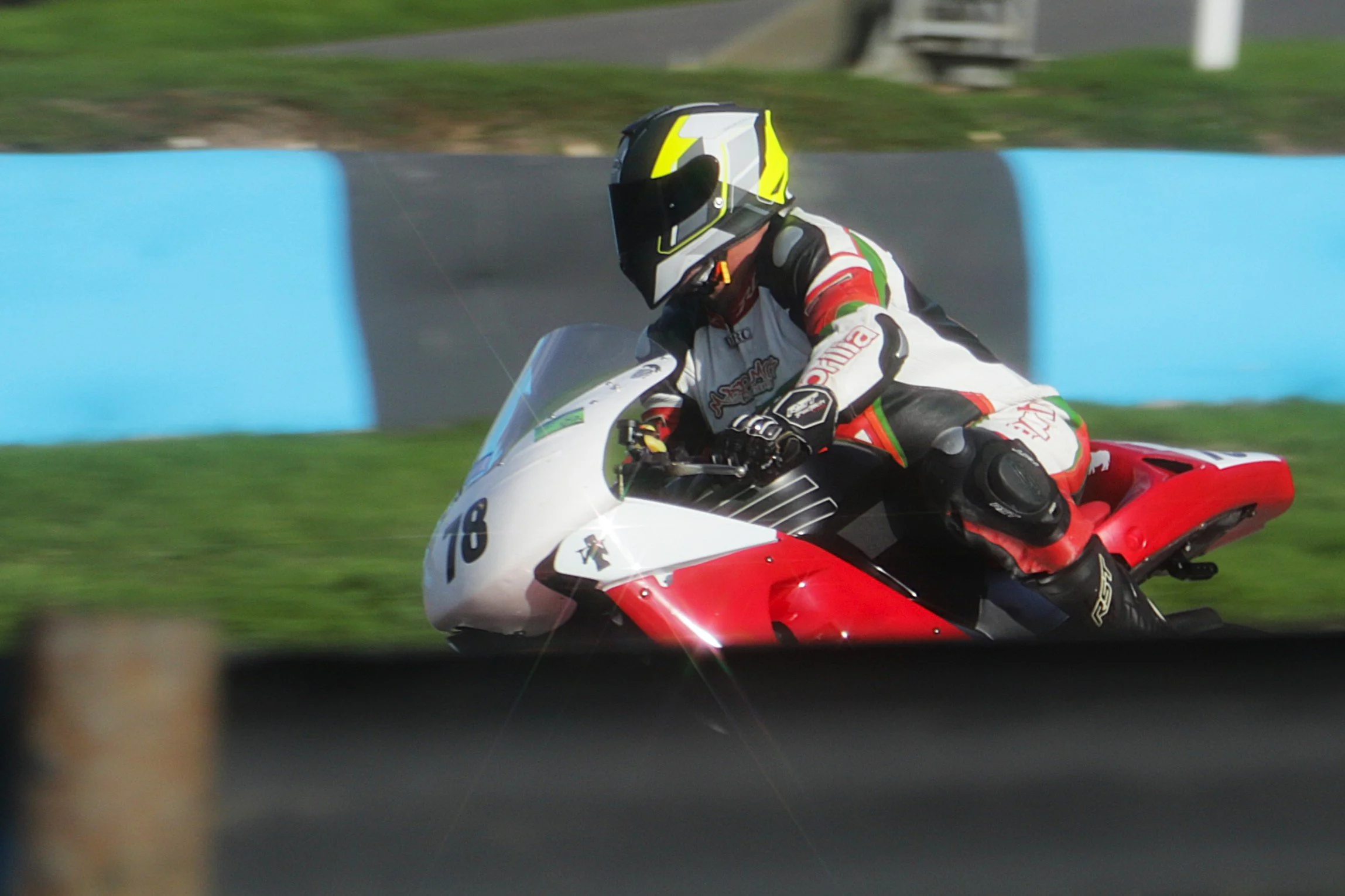 IMG_2547 crop.jpg