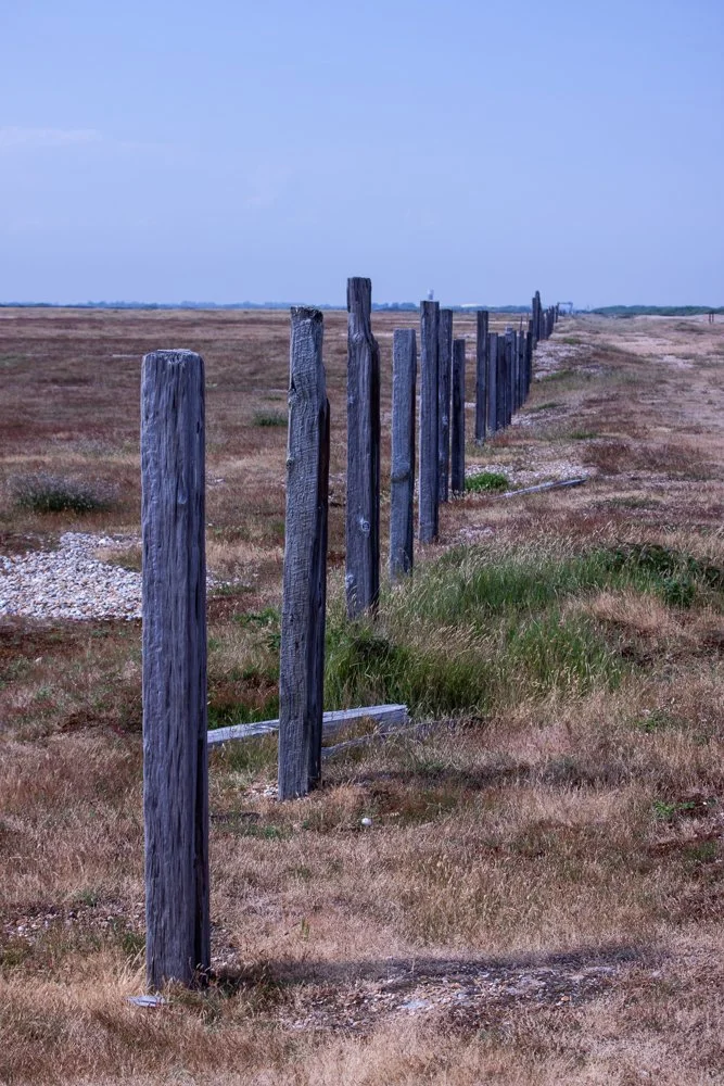 Fence line at Dungeness, Kent
