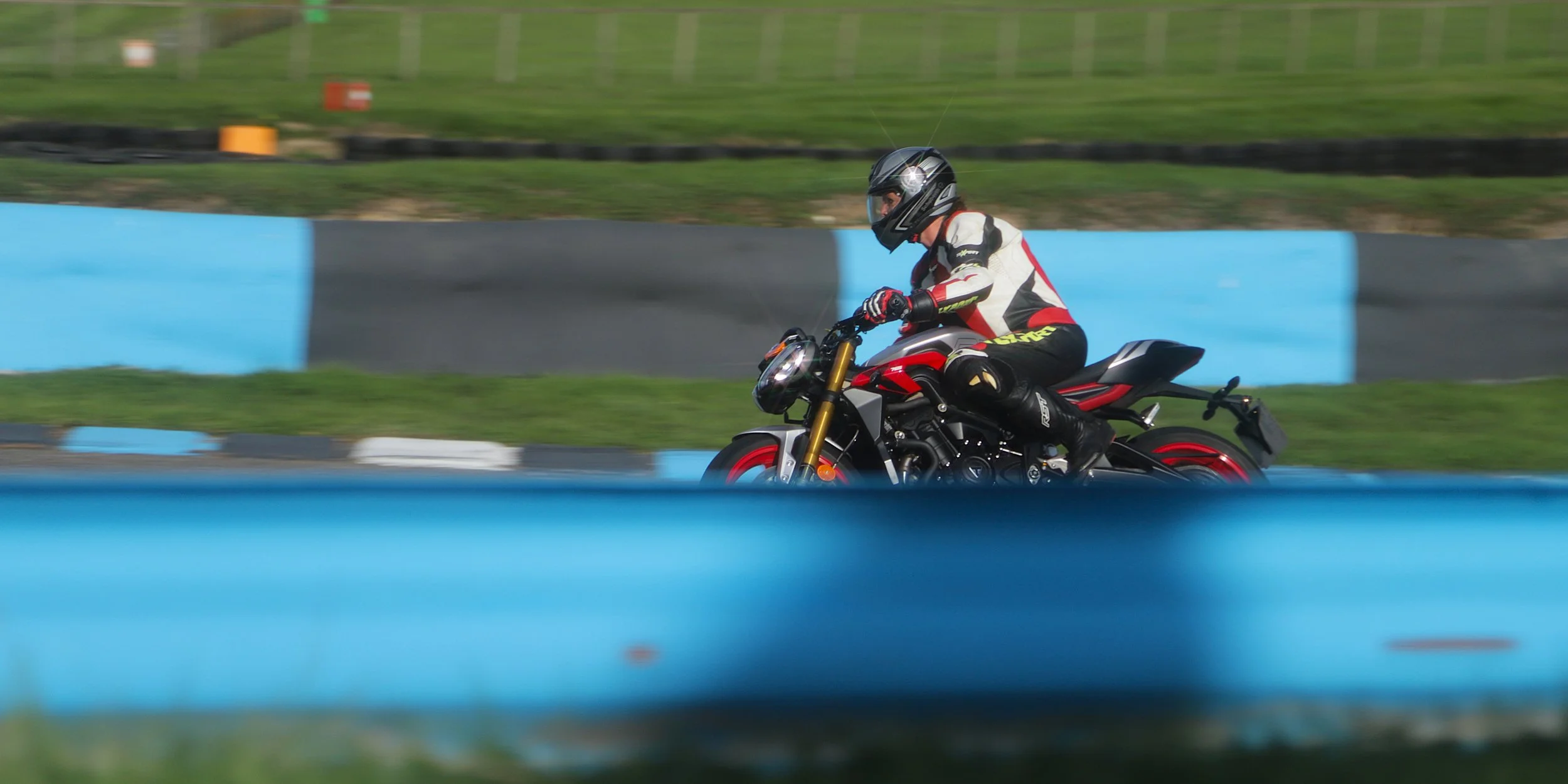 IMG_2560 crop.jpg