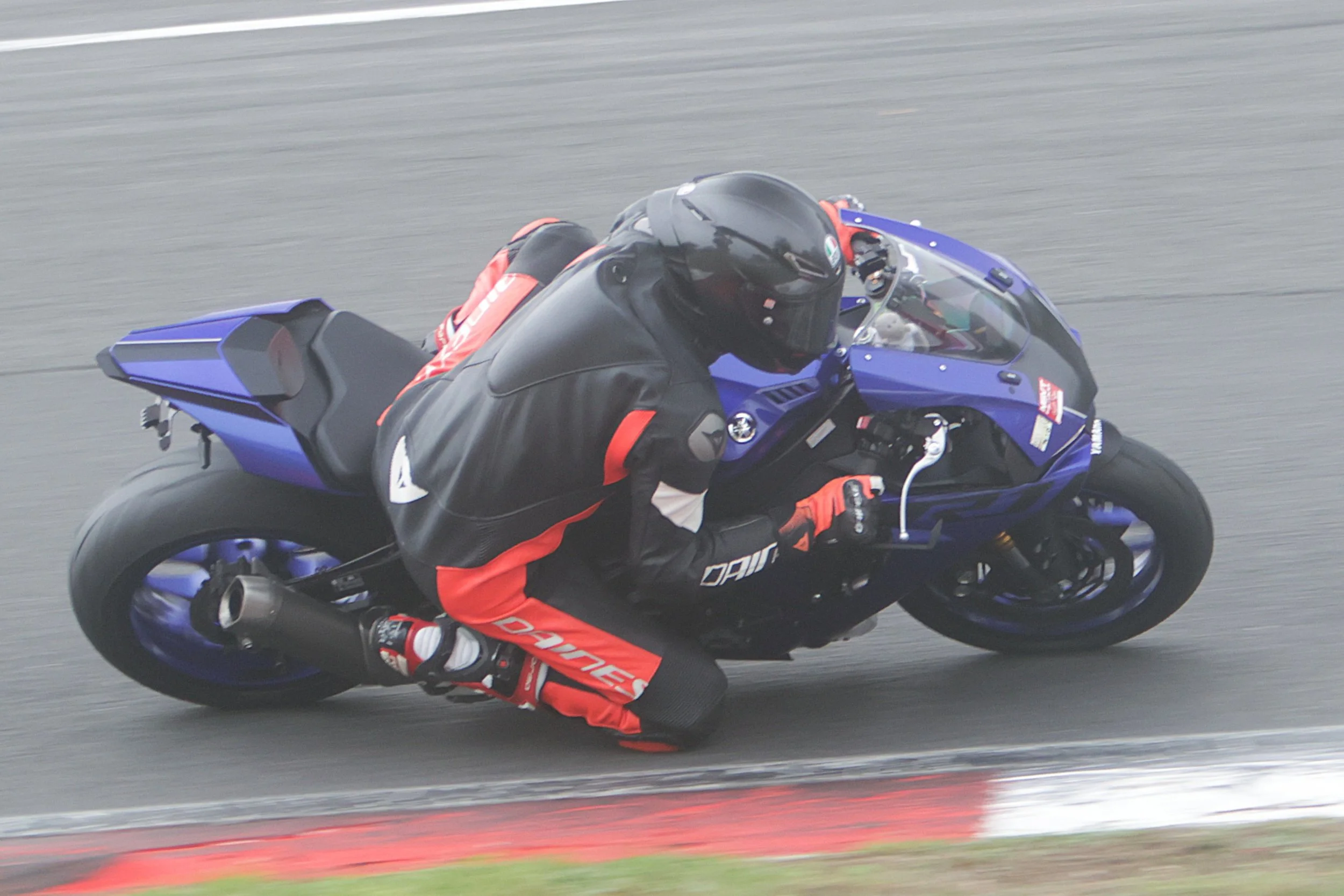BB010398 crop.jpg