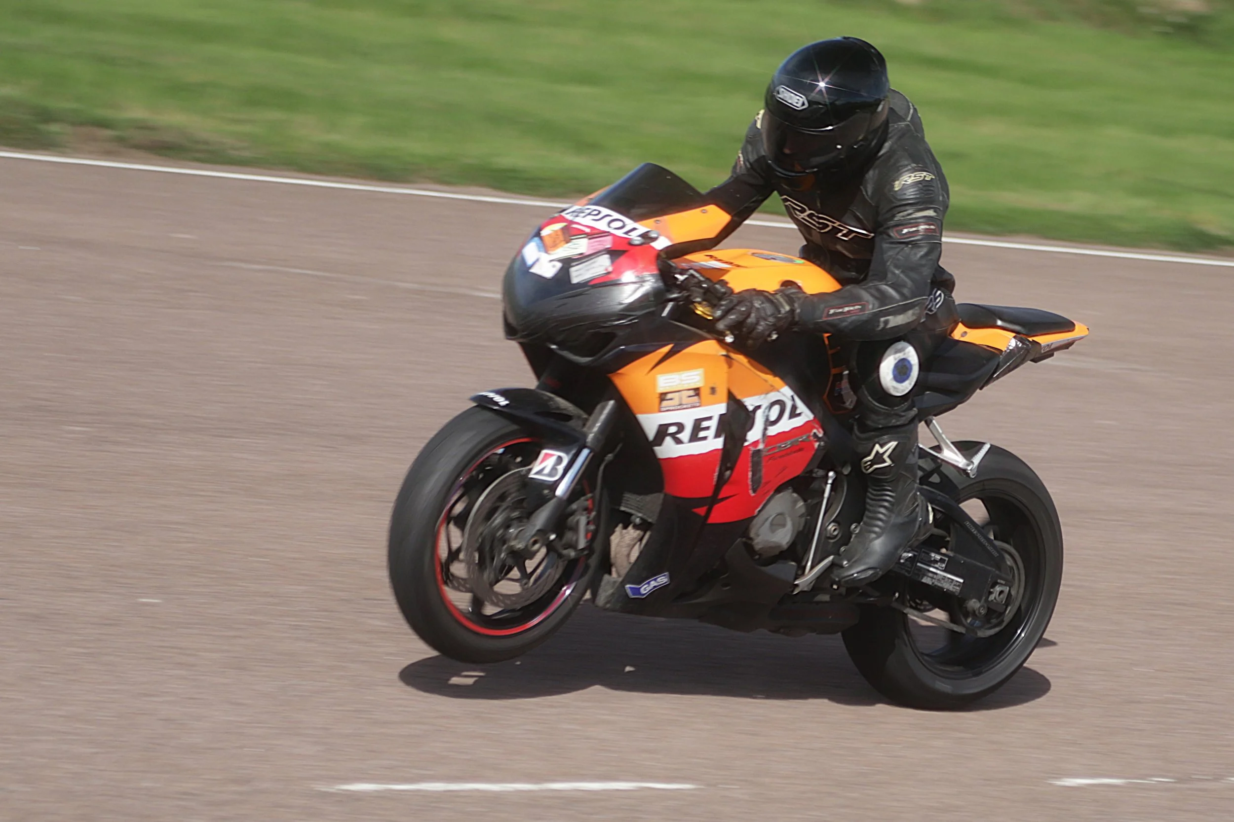 IMG_2812 crop.jpg