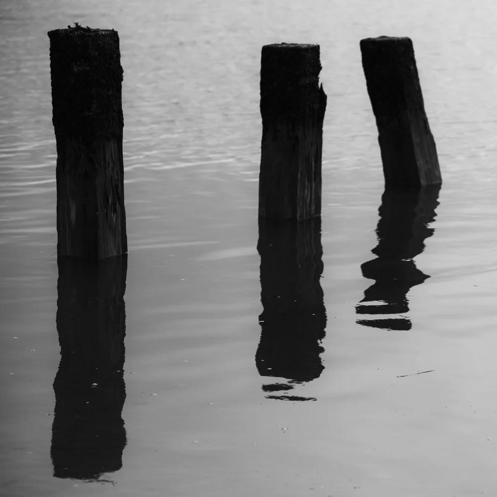 Groyne posts at Camber Sands, Sussex
