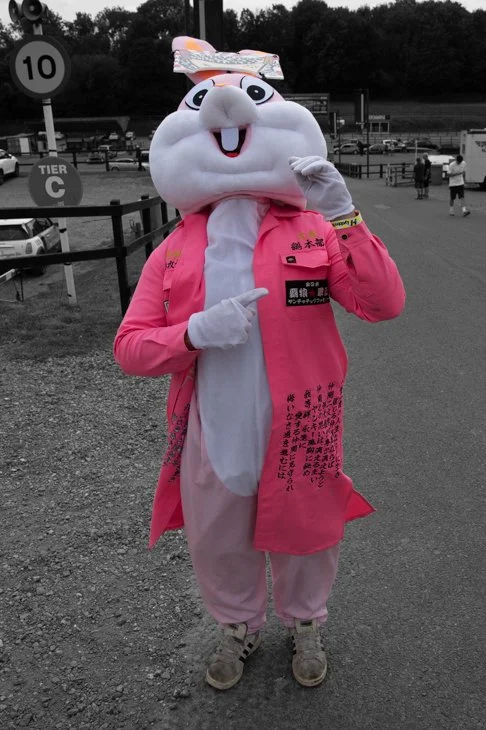 Bit of a rabbit problem at Lydden Hill so I'm told :-)