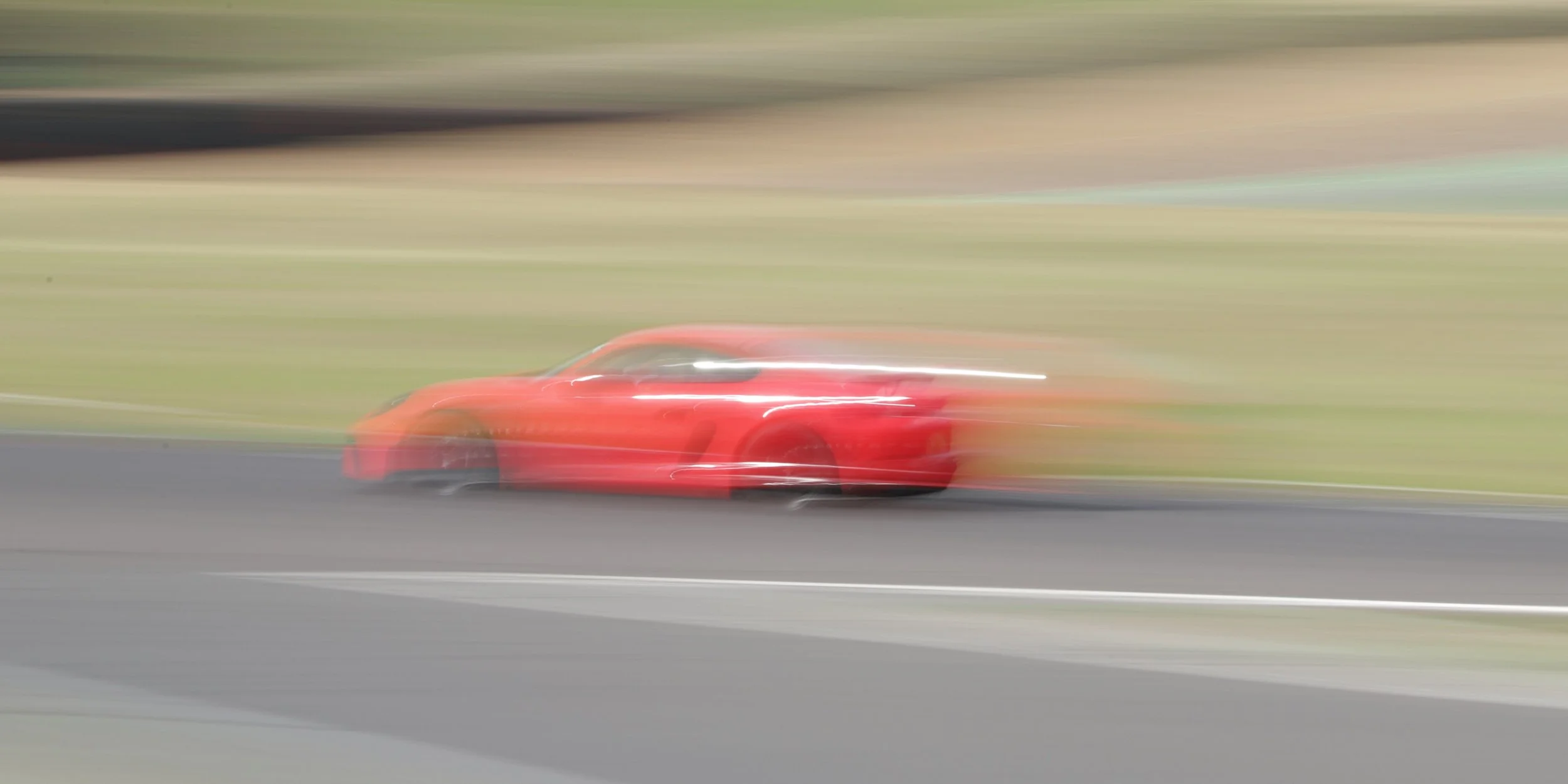 IMG_1664 crop.jpg