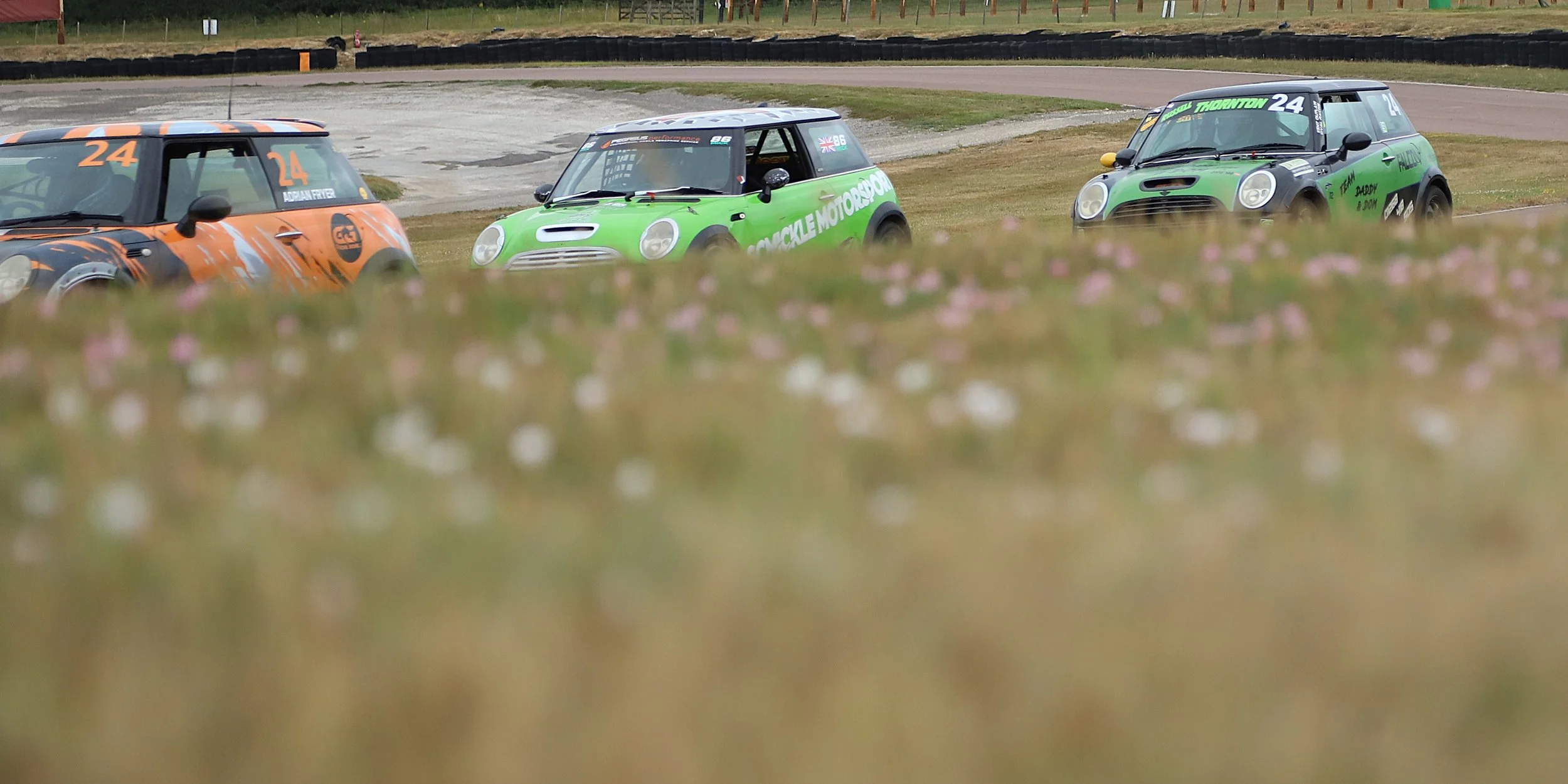 IMG_7129 crop.JPG