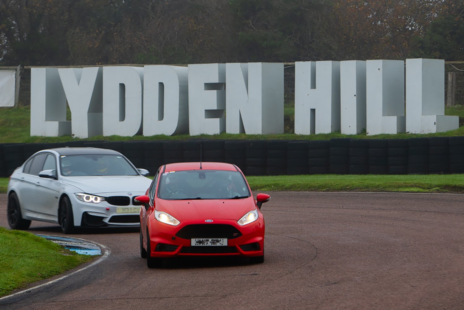 IMG_9999_1037 crop.jpg