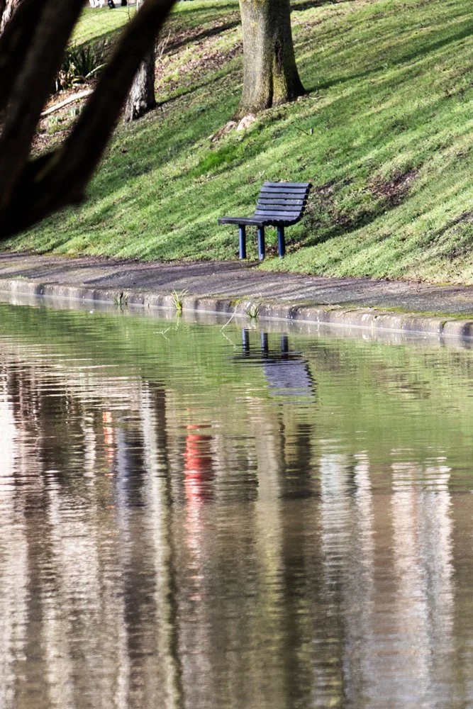 Reflections of trees at the Royal Military Canal at Hythe,Kent