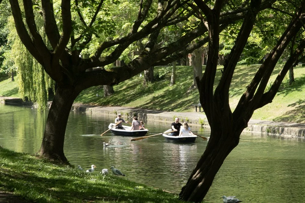Trees on the banks of the Royal Military Canal, Hythe, Kent, UK