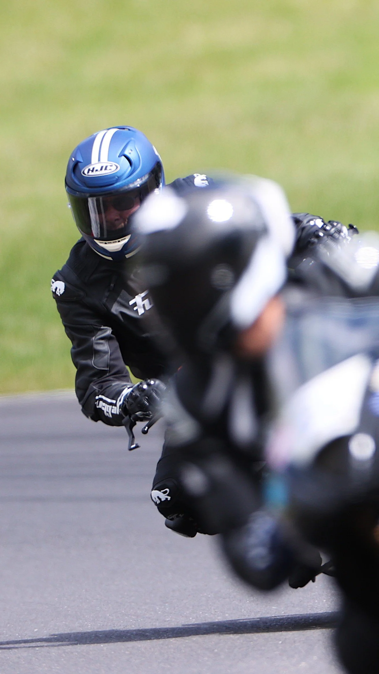 IMG_2676 crop.JPG
