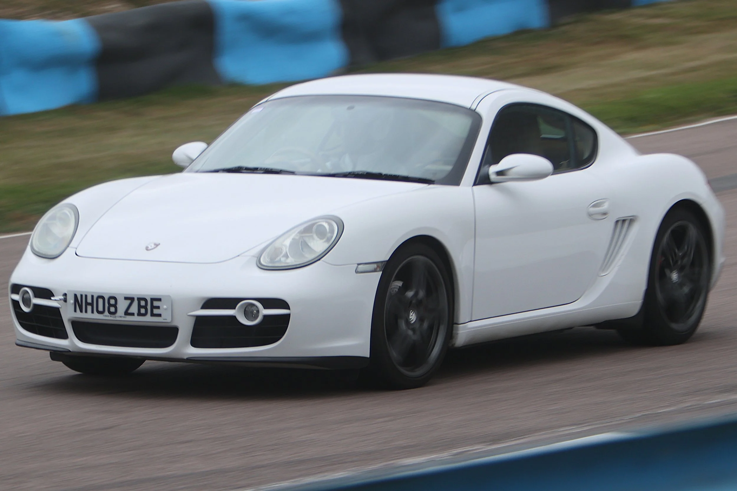 BB019202 crop.JPG
