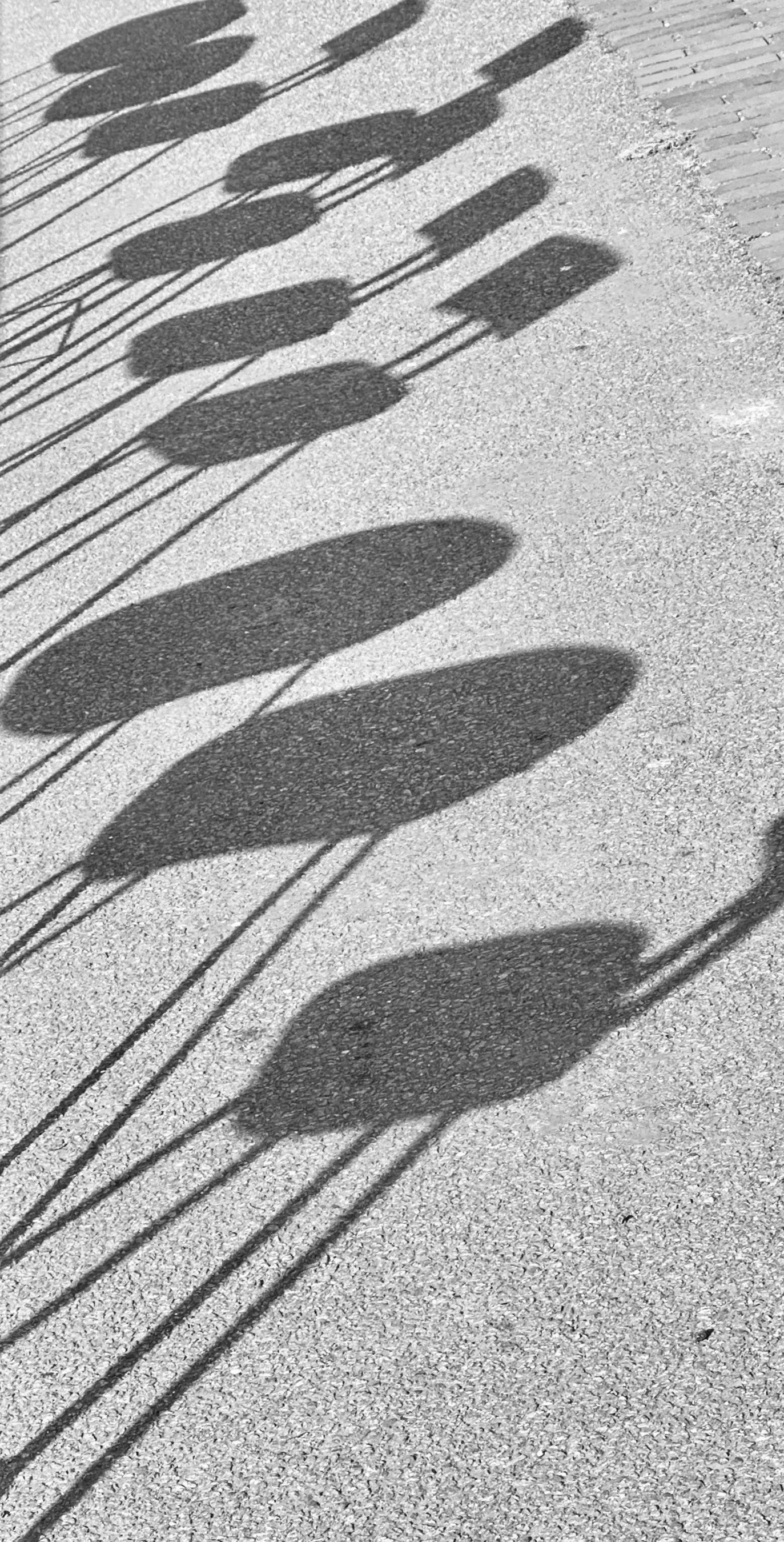 Shadows of stools in the summer sun
