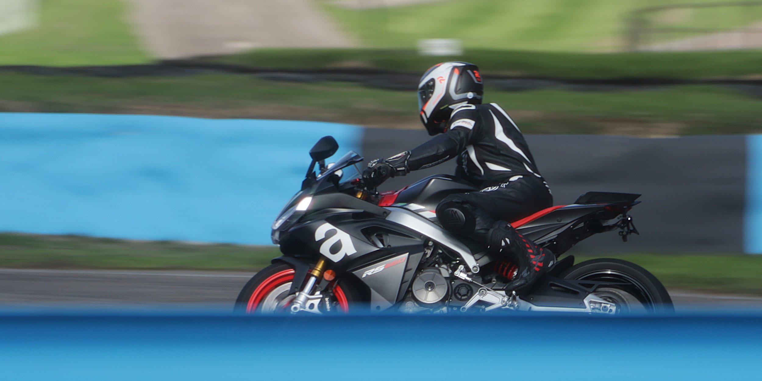 IMG_2667 crop.jpg
