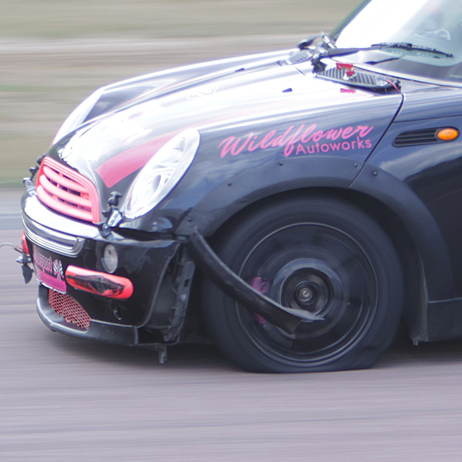 BB017482 crop.JPG