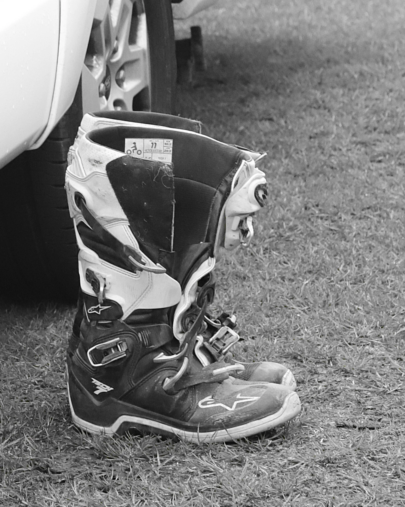 IMG_1978 crop.jpg