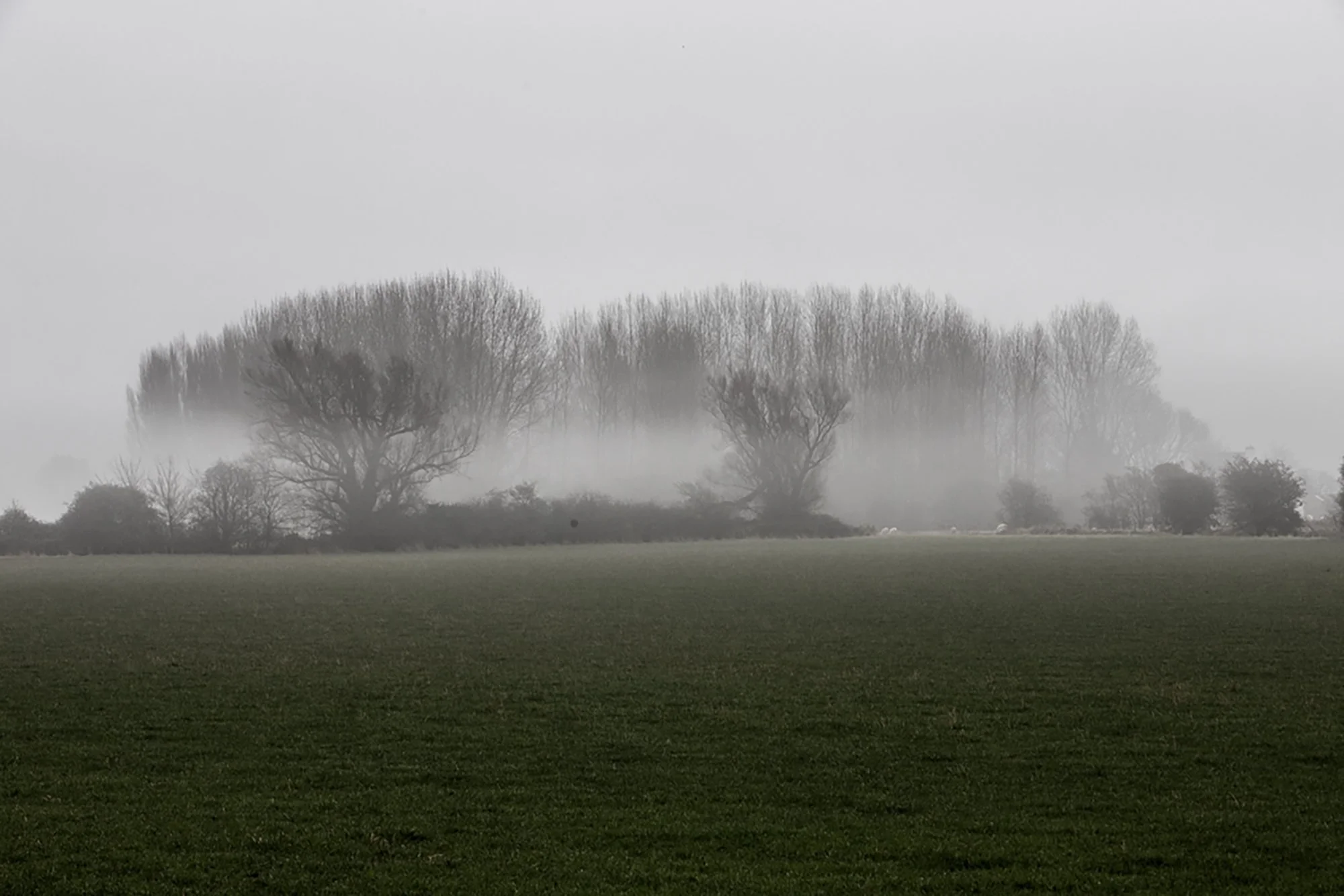 Mist over the fields at West Hythe, Kent