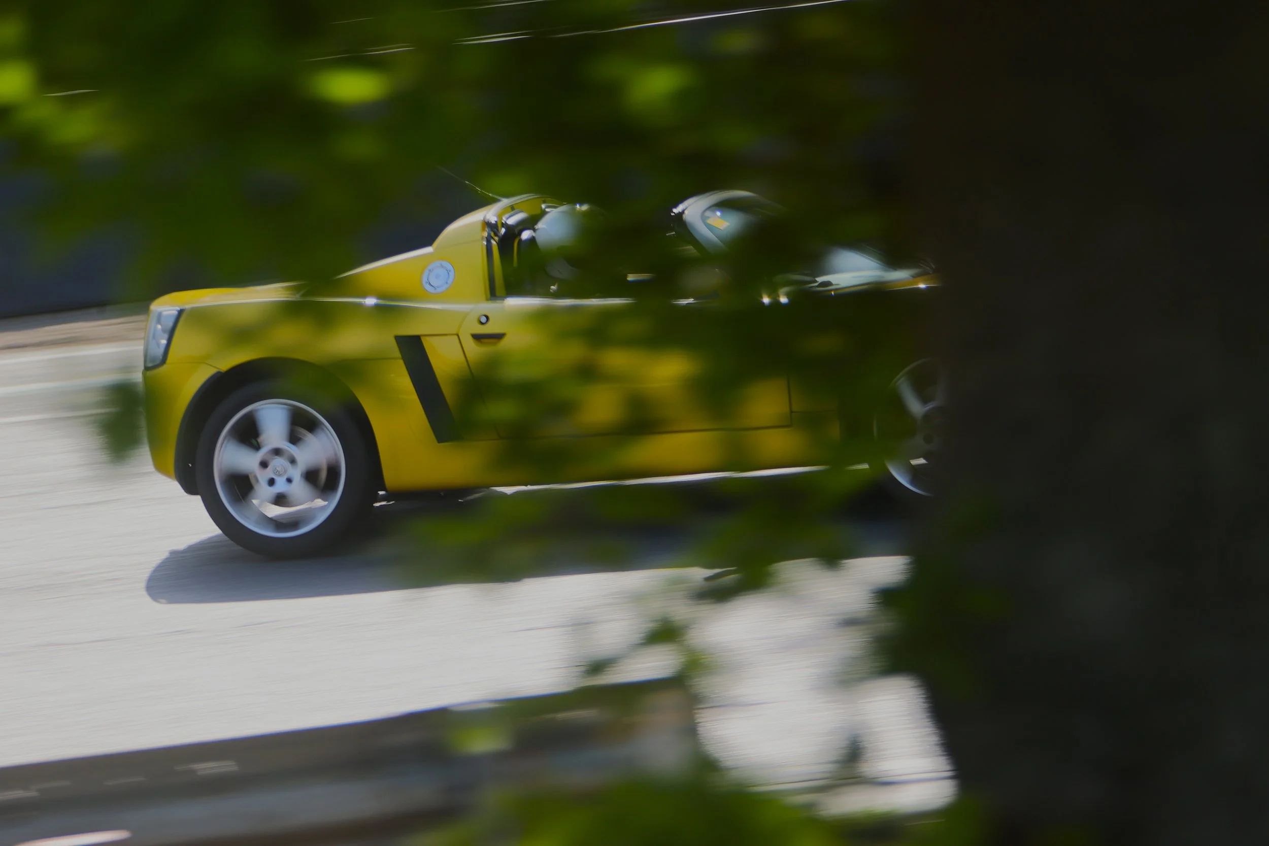 IMG_6894 crop.JPG