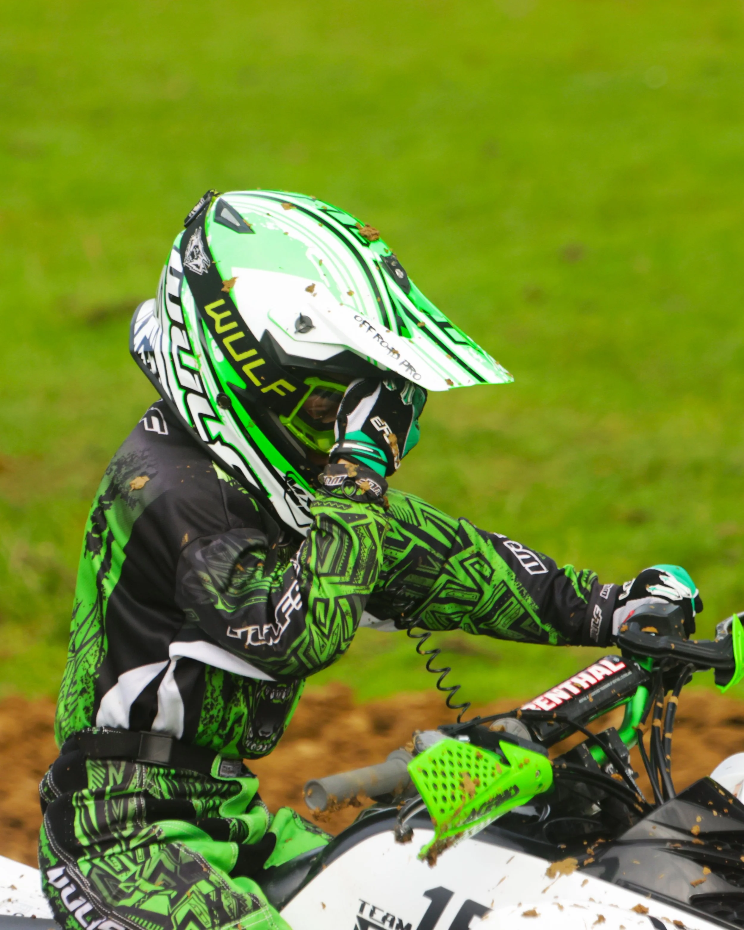 BB016720 crop.jpg
