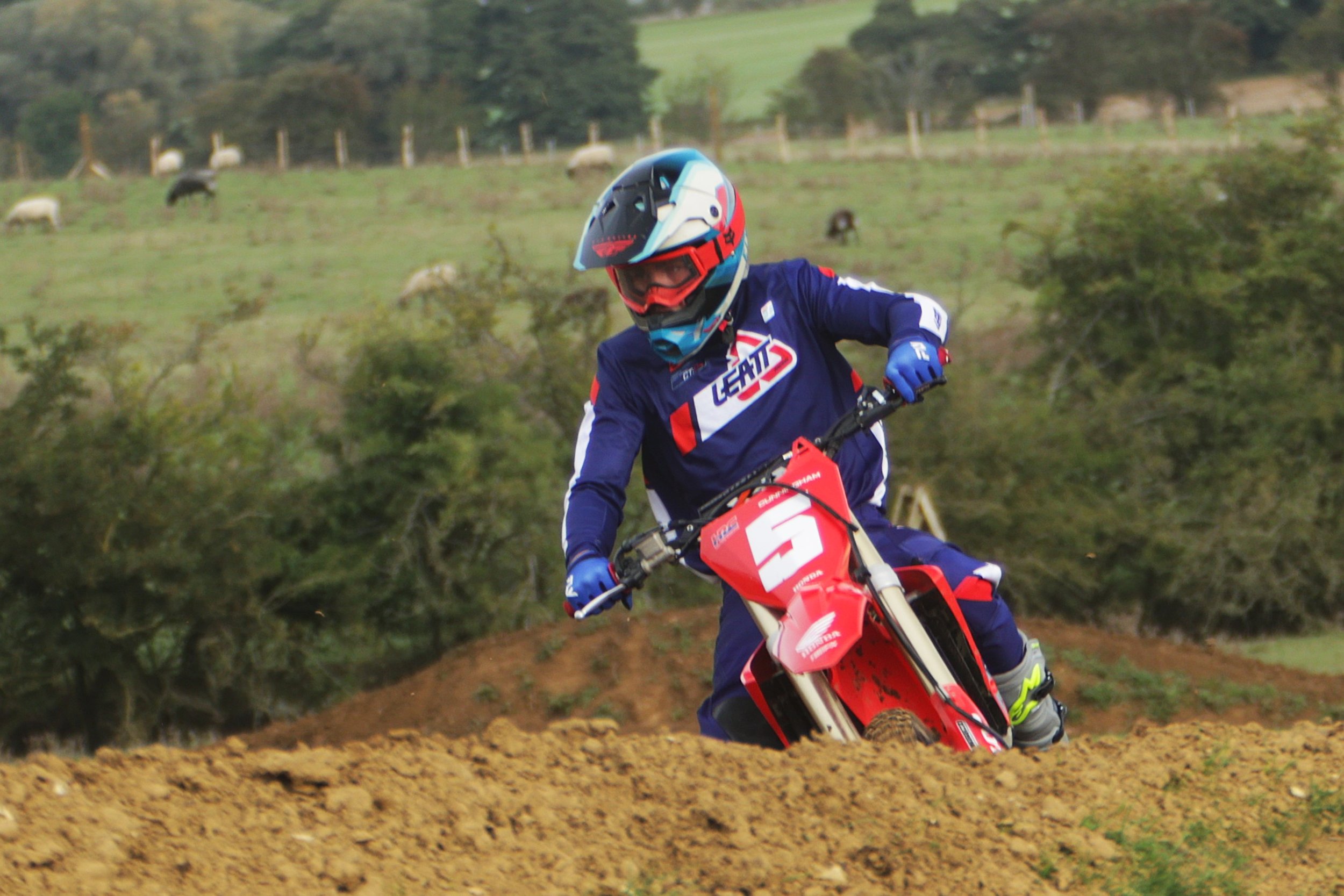 BB019233 crop.jpg