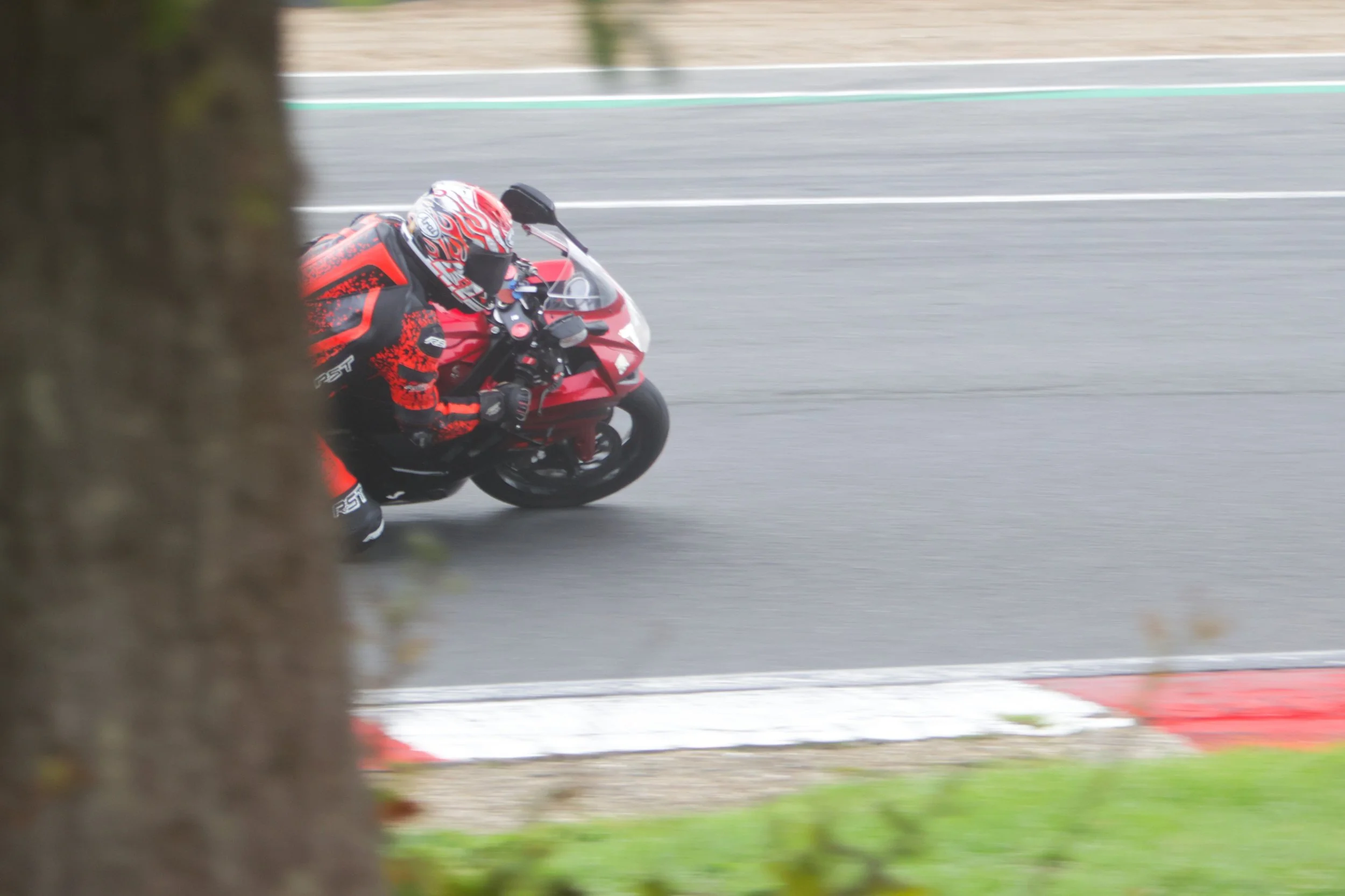 BB010338 crop.jpg