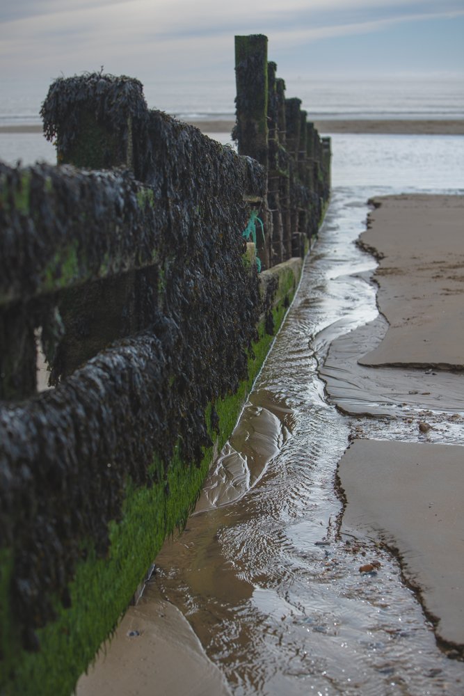 Groyne at Camber Sands, Sussex