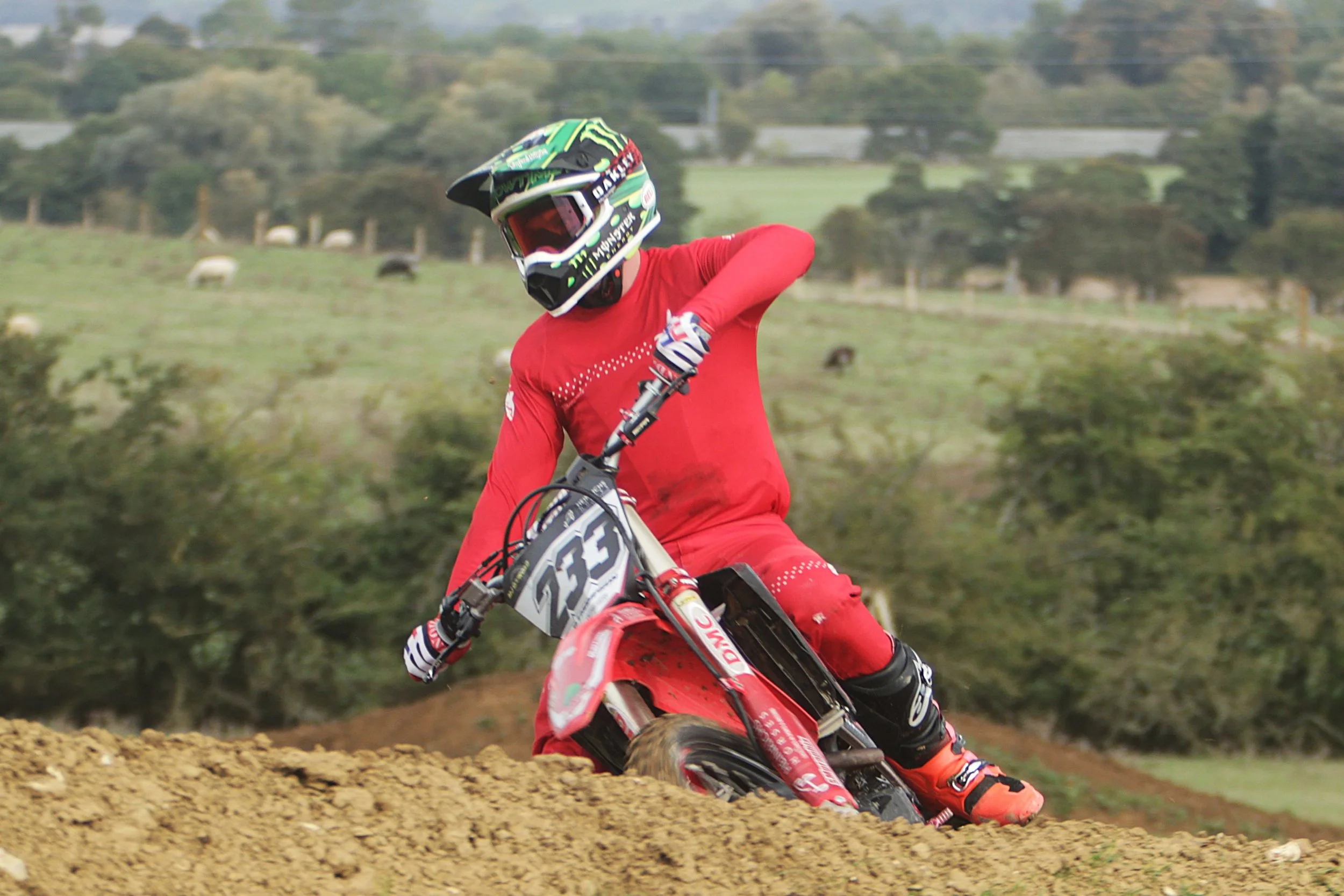 BB019227 crop.jpg