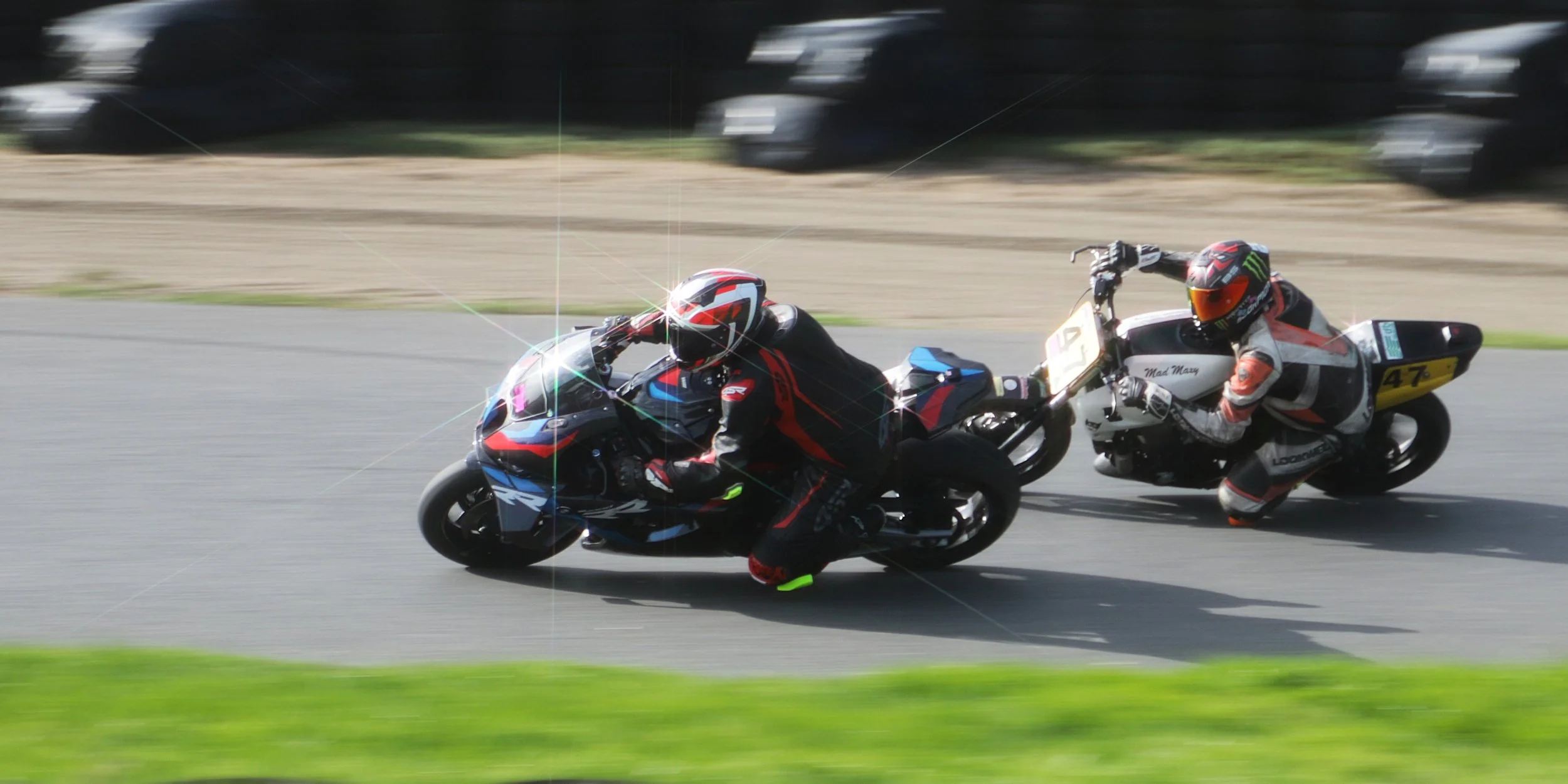 IMG_2674 crop.jpg