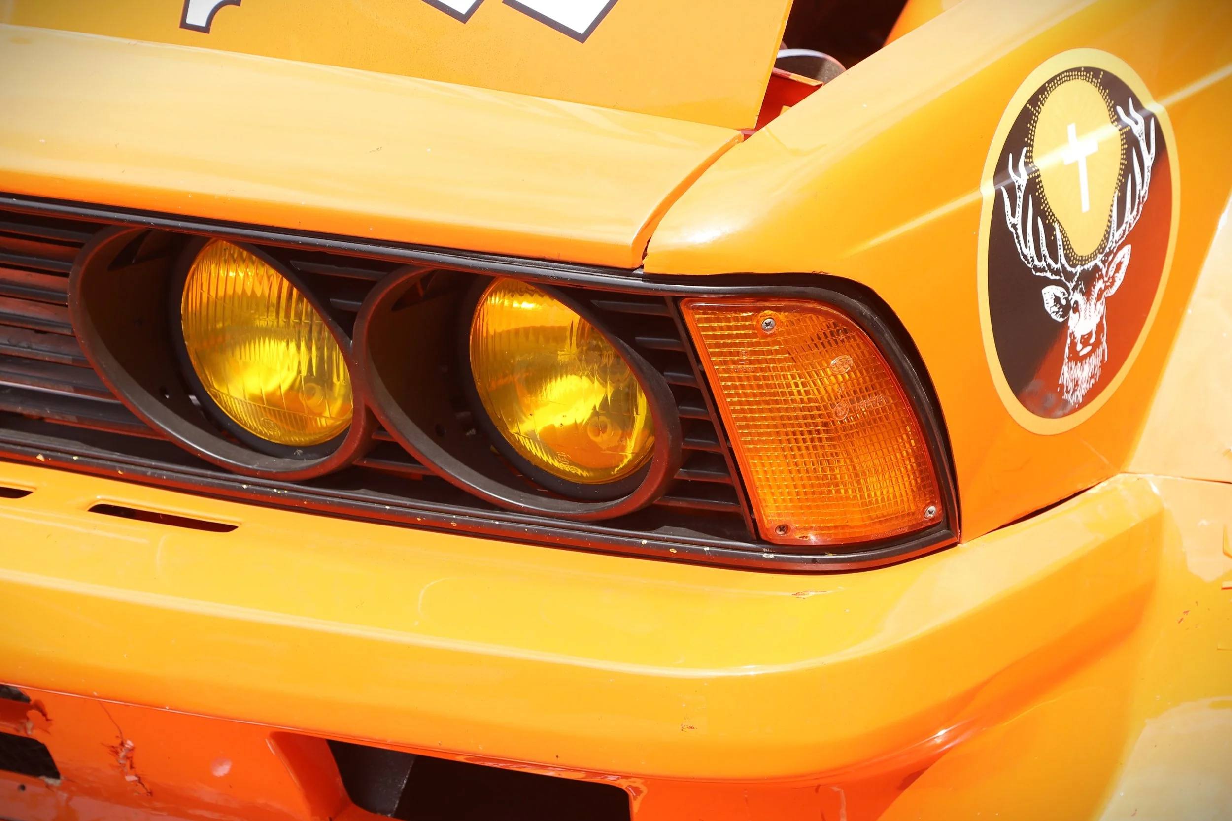 IMG_7065 crop.JPG