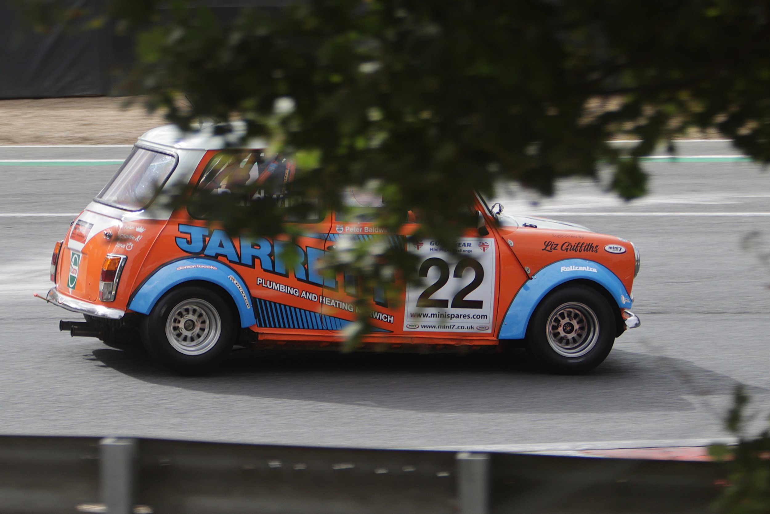 BB015104 crop.JPG