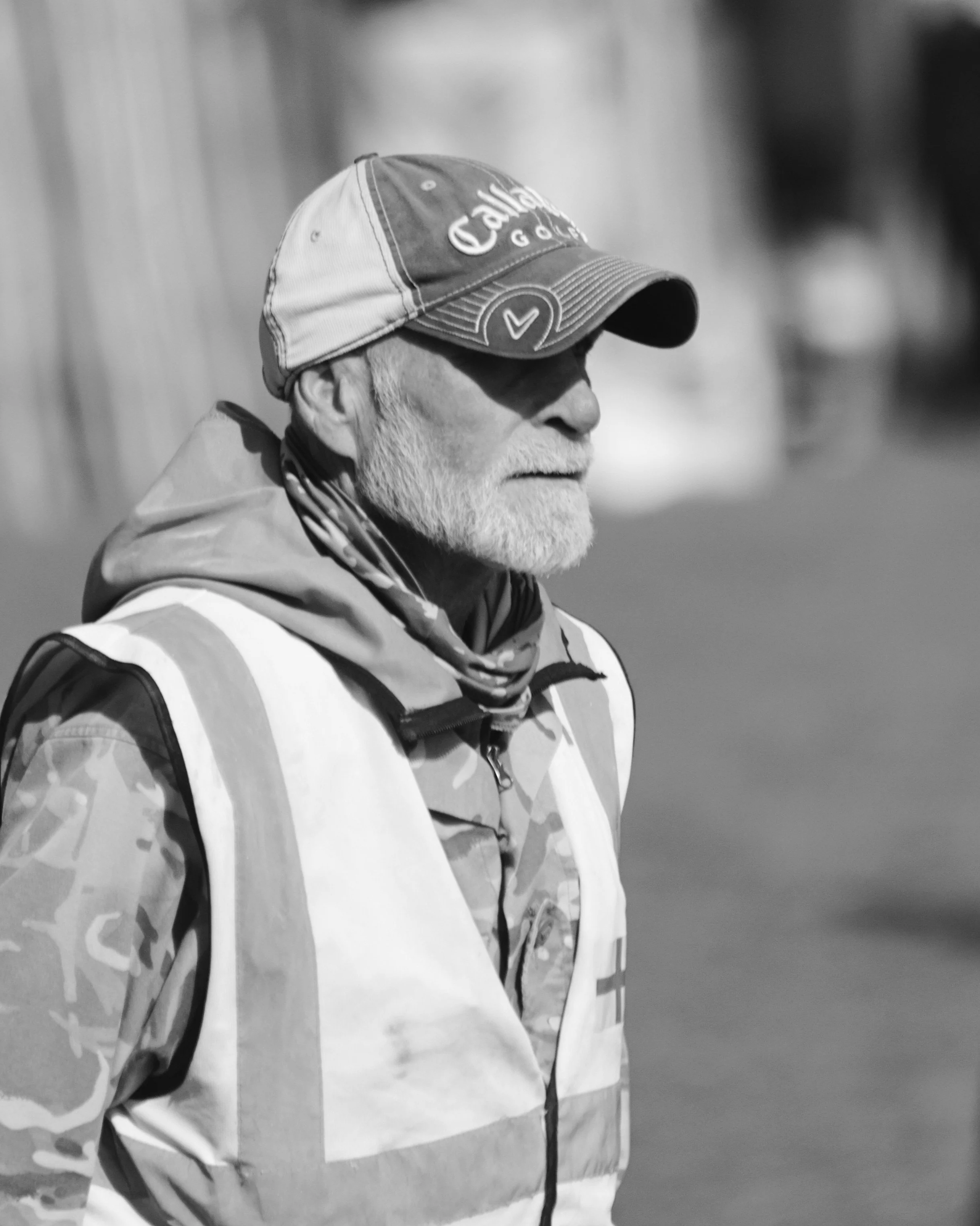BB017312 crop.jpg
