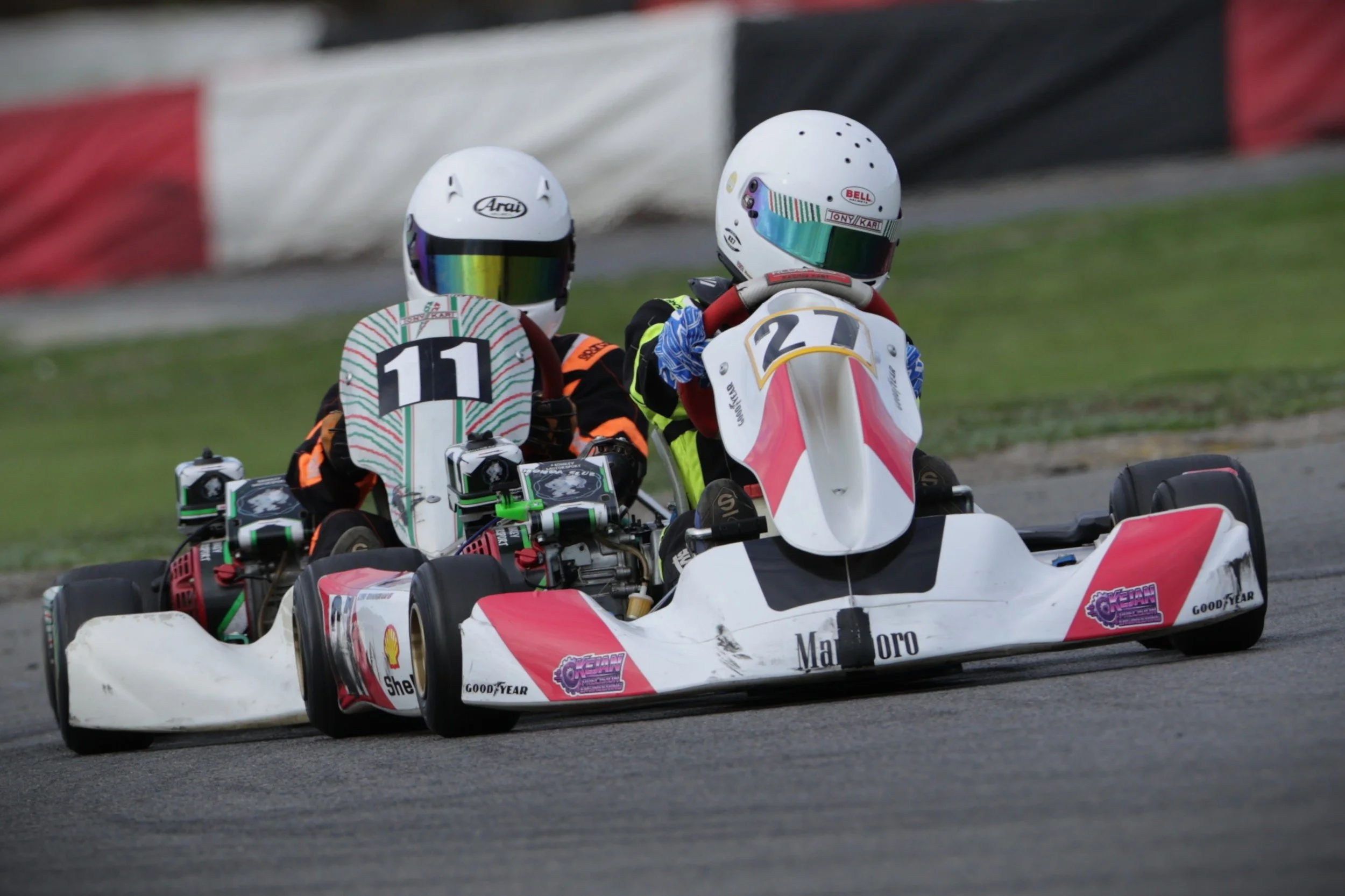 Honda Juniors