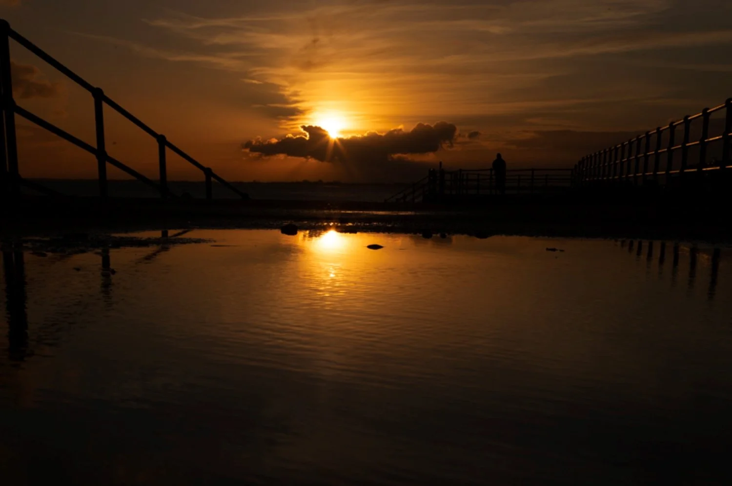 Phoenix Rising at sunset