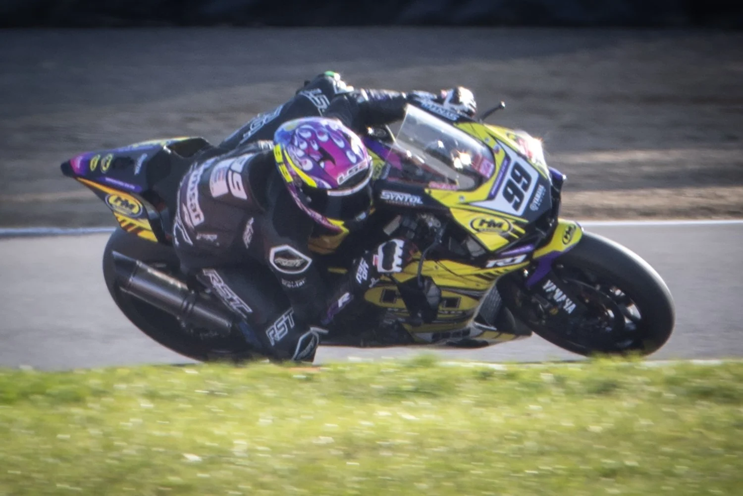 IMG_9999_135 crop.jpg