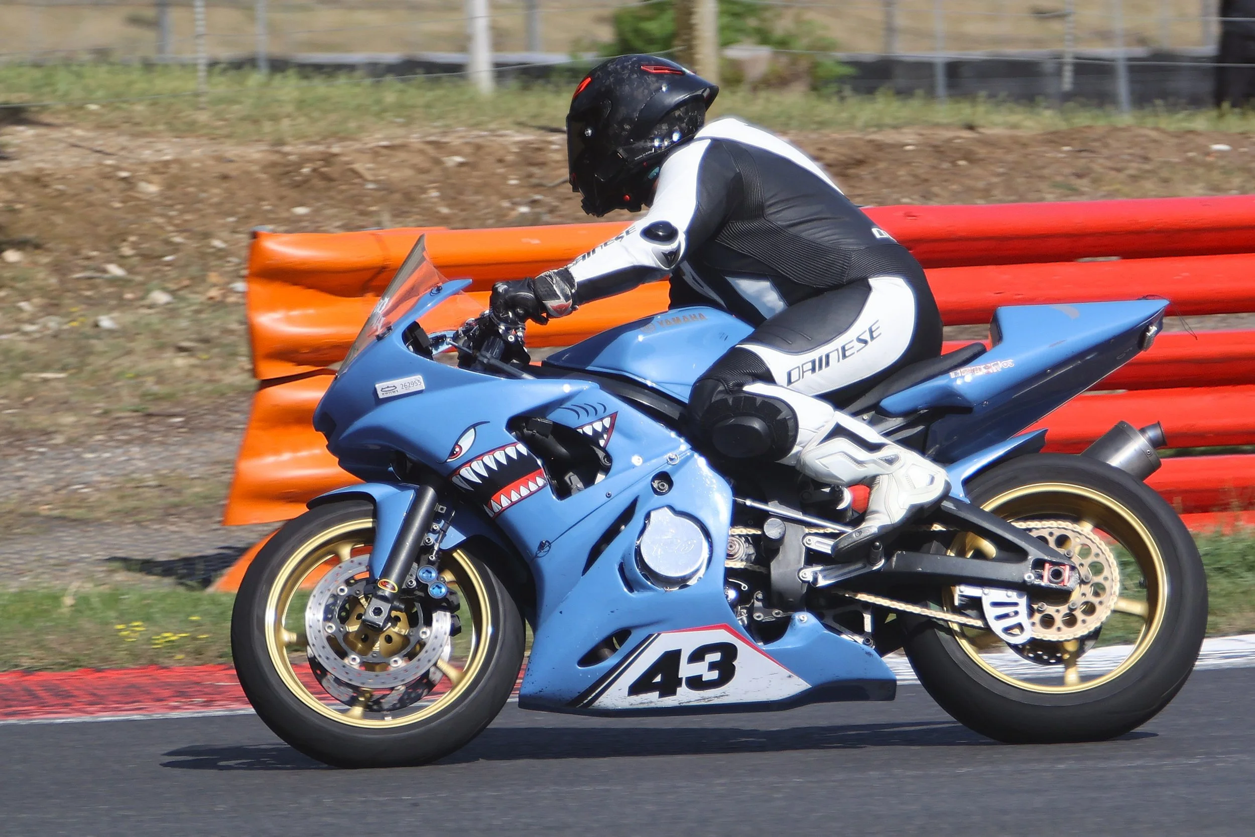 BB013298 crop.JPG