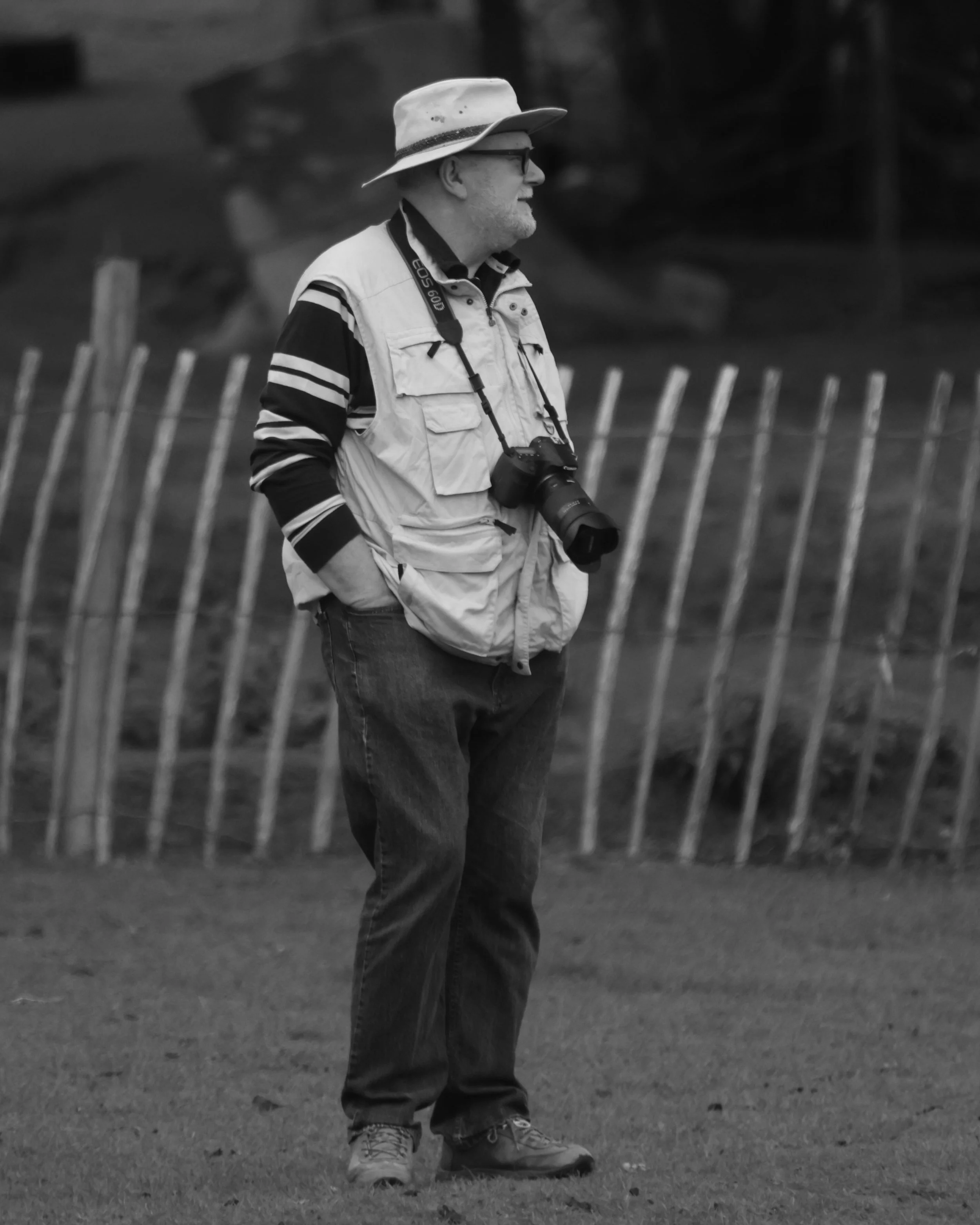 BB016659 crop.JPG