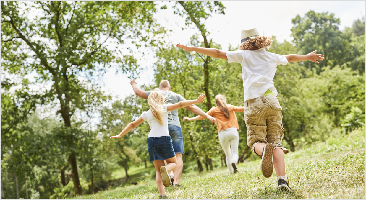 What is the difference between spousal maintenance and child maintenance?