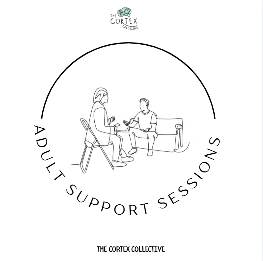 Spcial needs adult support sessions