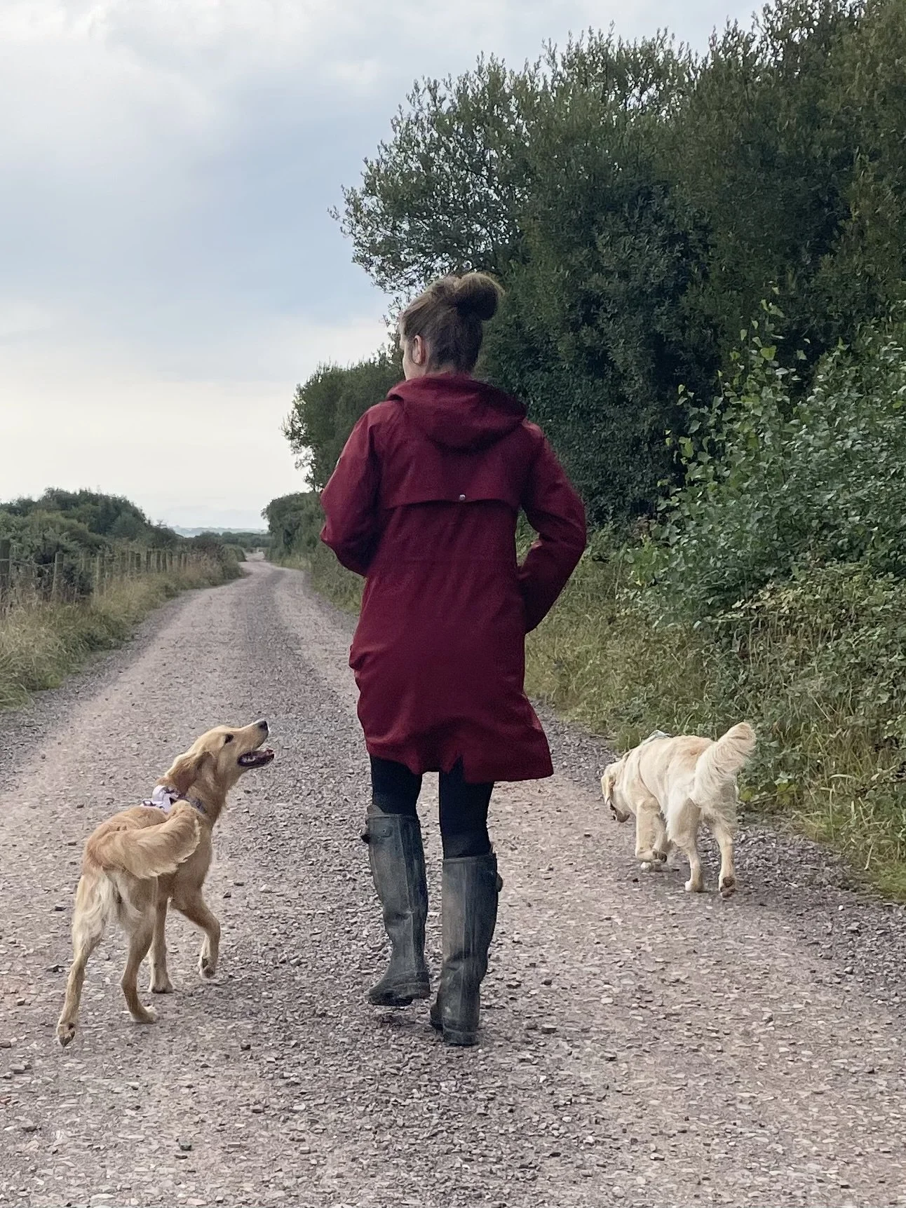 Woman walking on a gravel path with two dogs, wearing a red raincoat and tall rubber boots, surrounded by trees and shrubs.