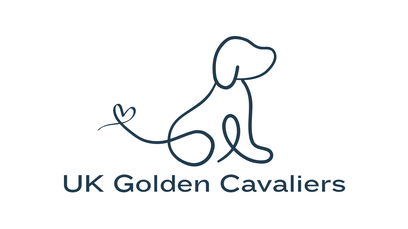 UK Golden Cavaliers
