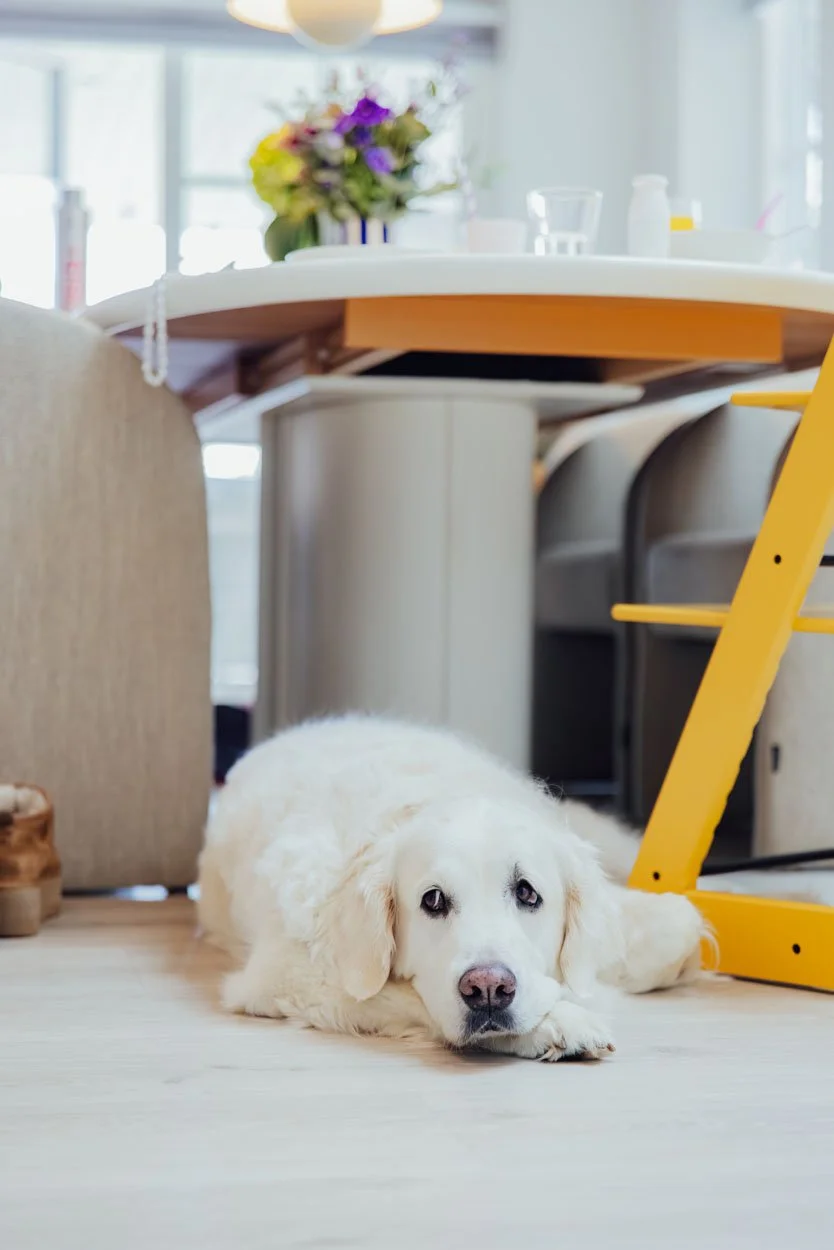 Simone og Morten-8081.jpg