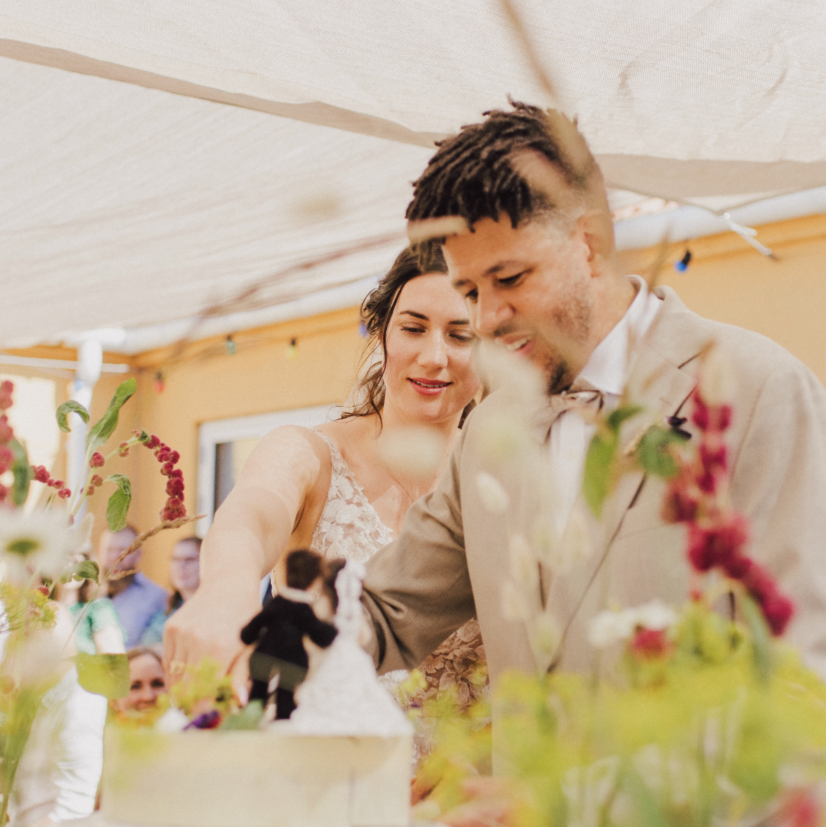 Skærmbillede 2026-02-08 kl. 09.08.53.png