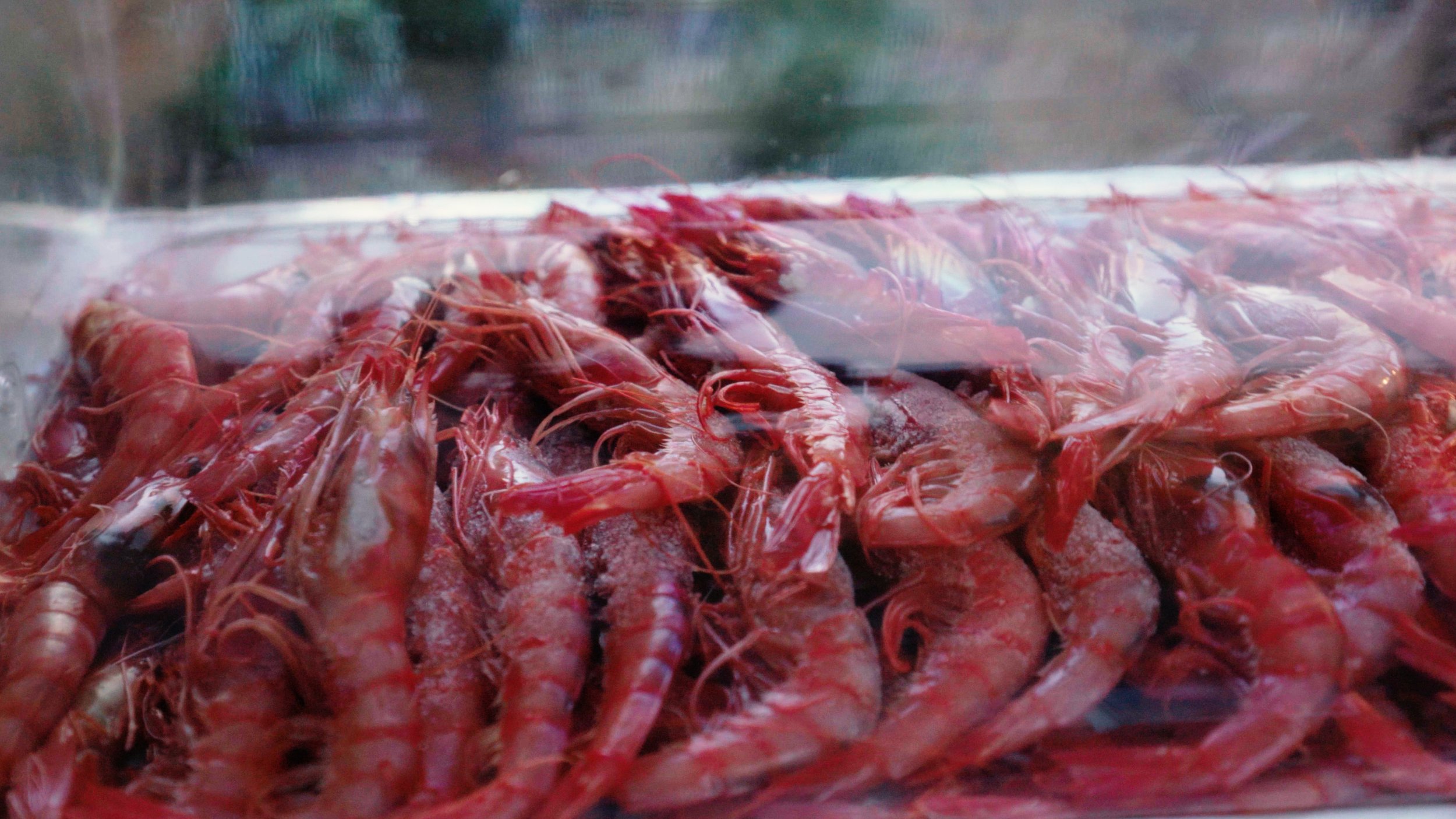 NEW FROM START TO FINISH.00_04_10_11.Still041.jpg