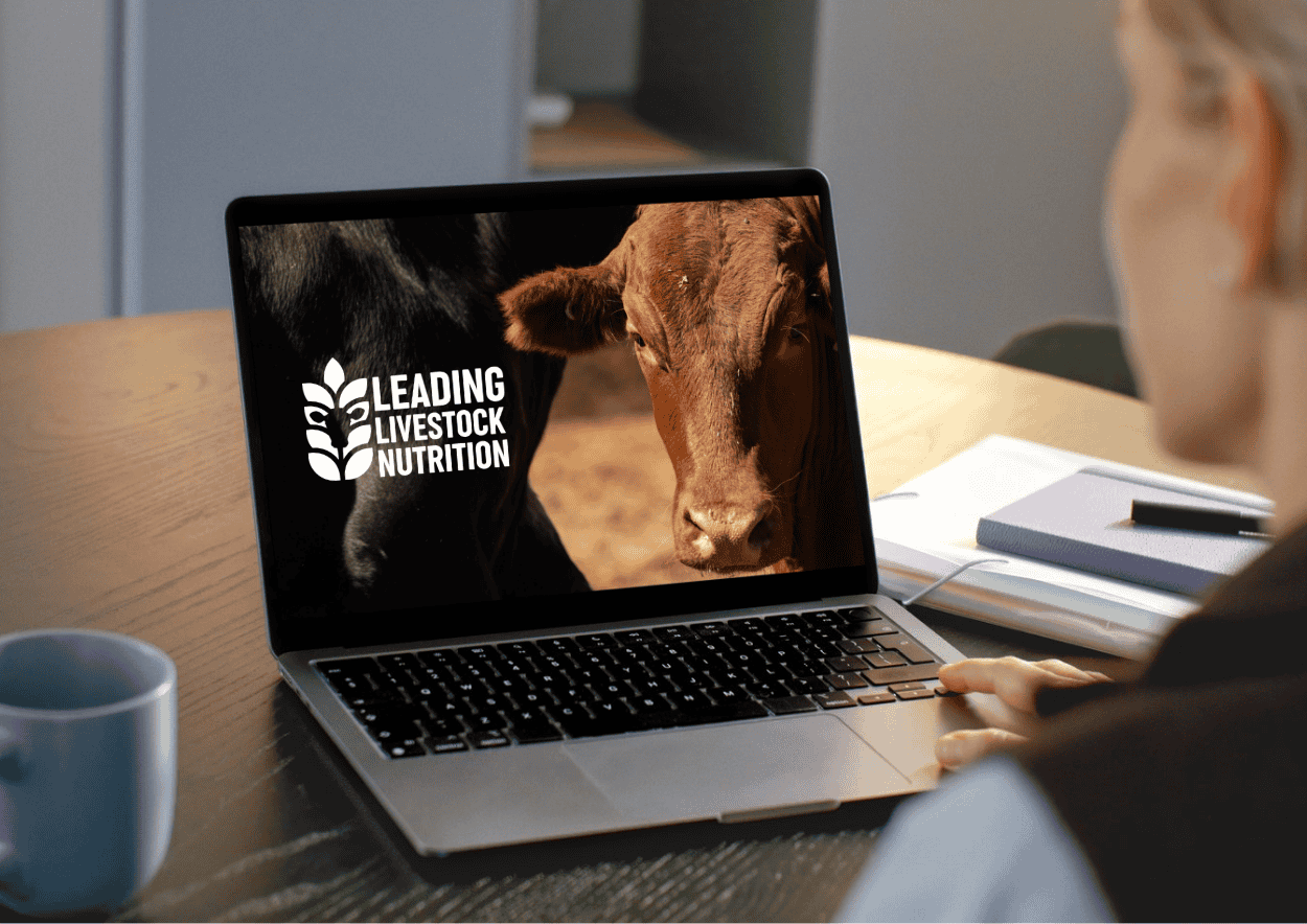 Leading Livestock Nutrition - Brand Identity &amp; Website