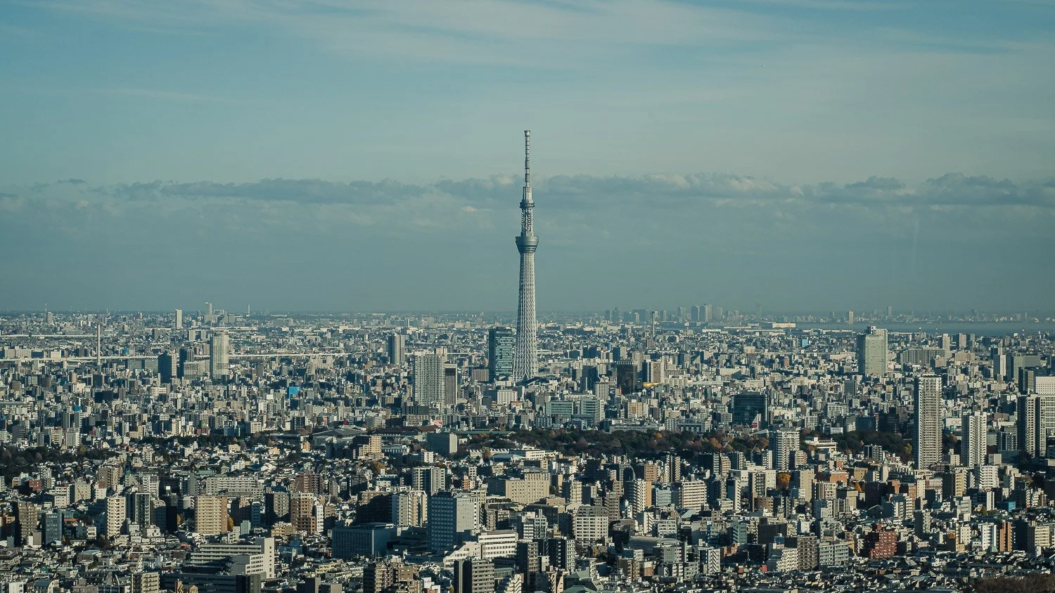Letters from Tokyo #8 Earthquake! 