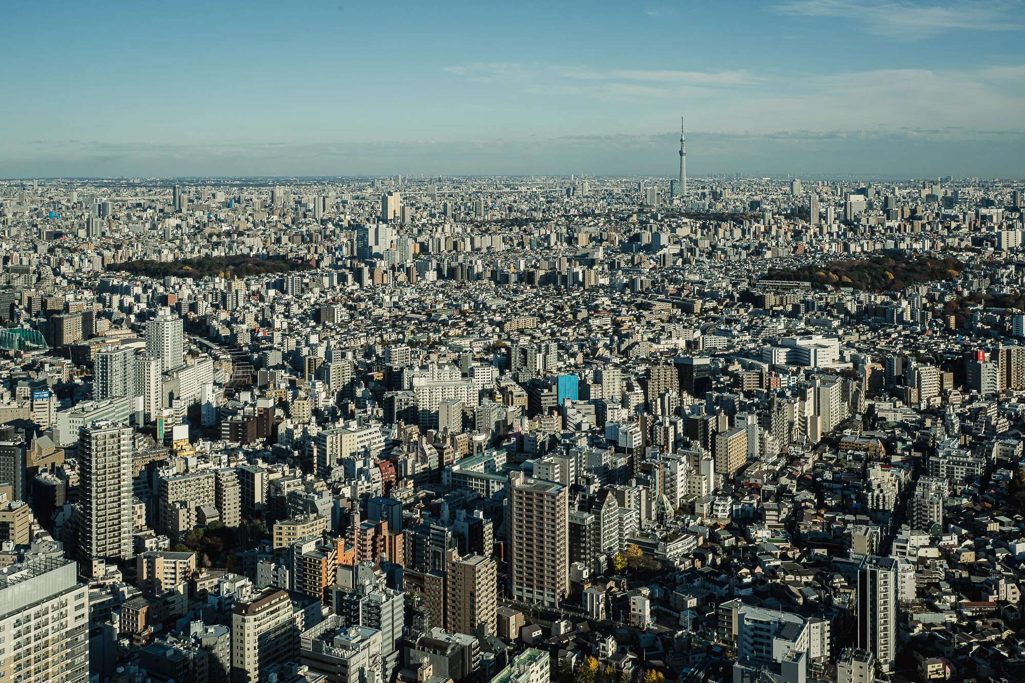Tokyo Skytree visible on the distant horizon among surrounding city buildings.