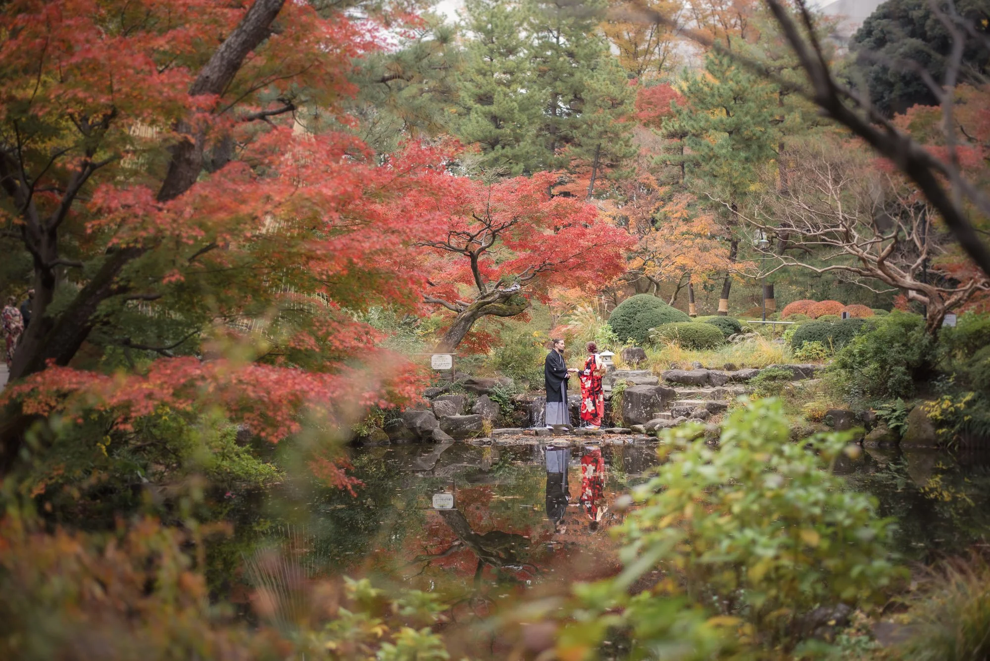 Young couple enjoy the autumn colours of a Tokyo garden while wearing kimonos.