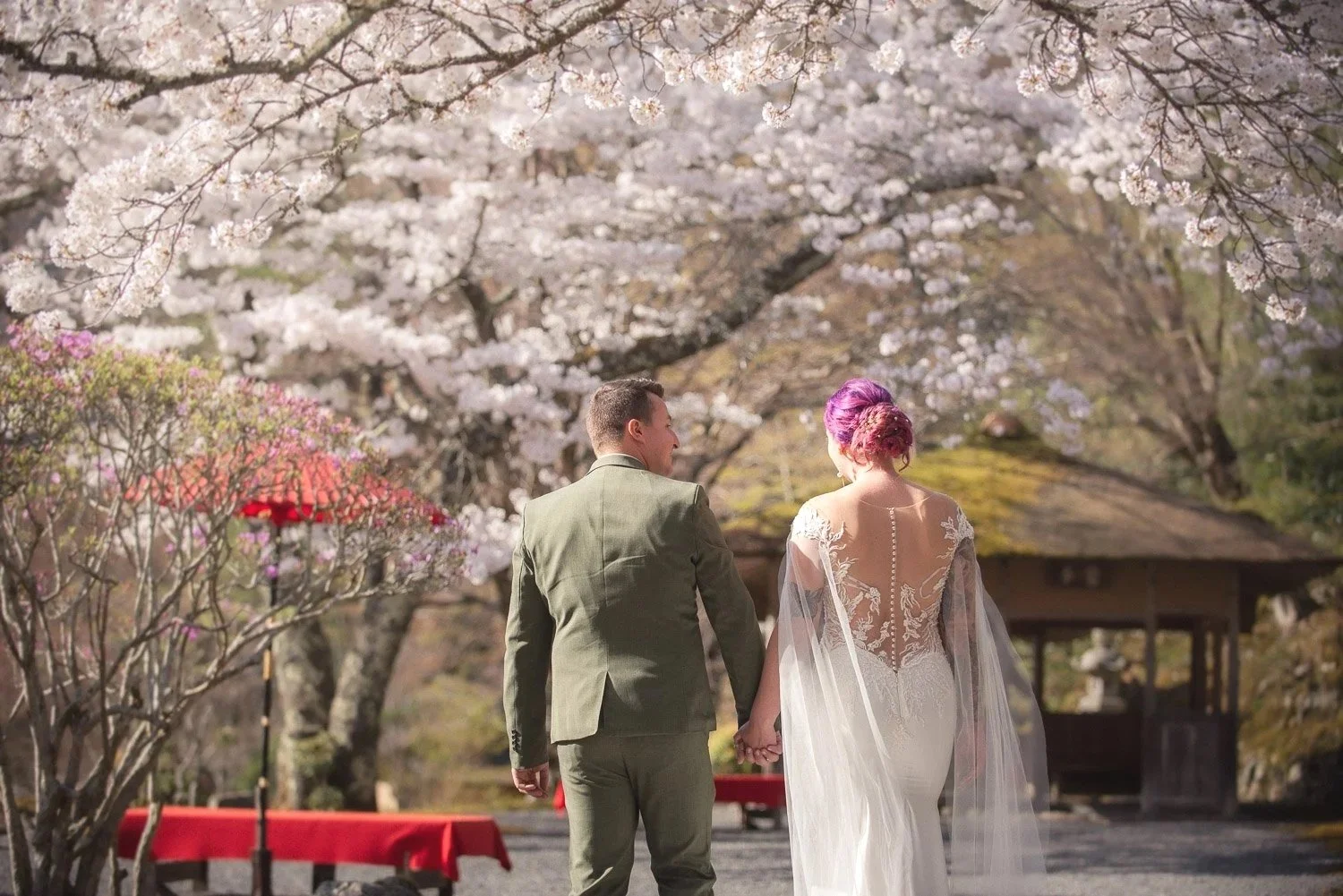 A just married couple walking away from the camera, hand-in-hand beneath a canopy of cherry blossom.