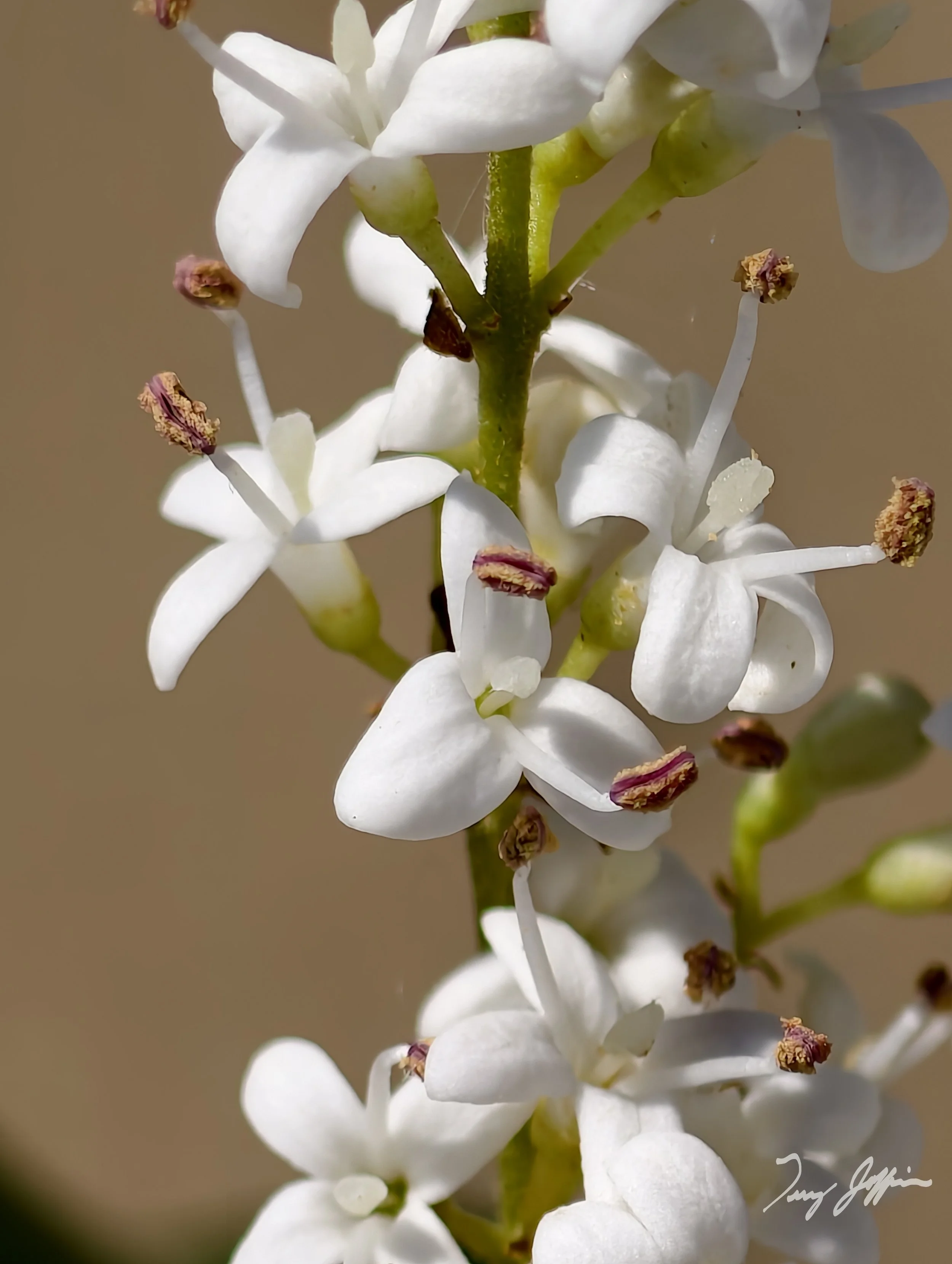 1000176885.jpg