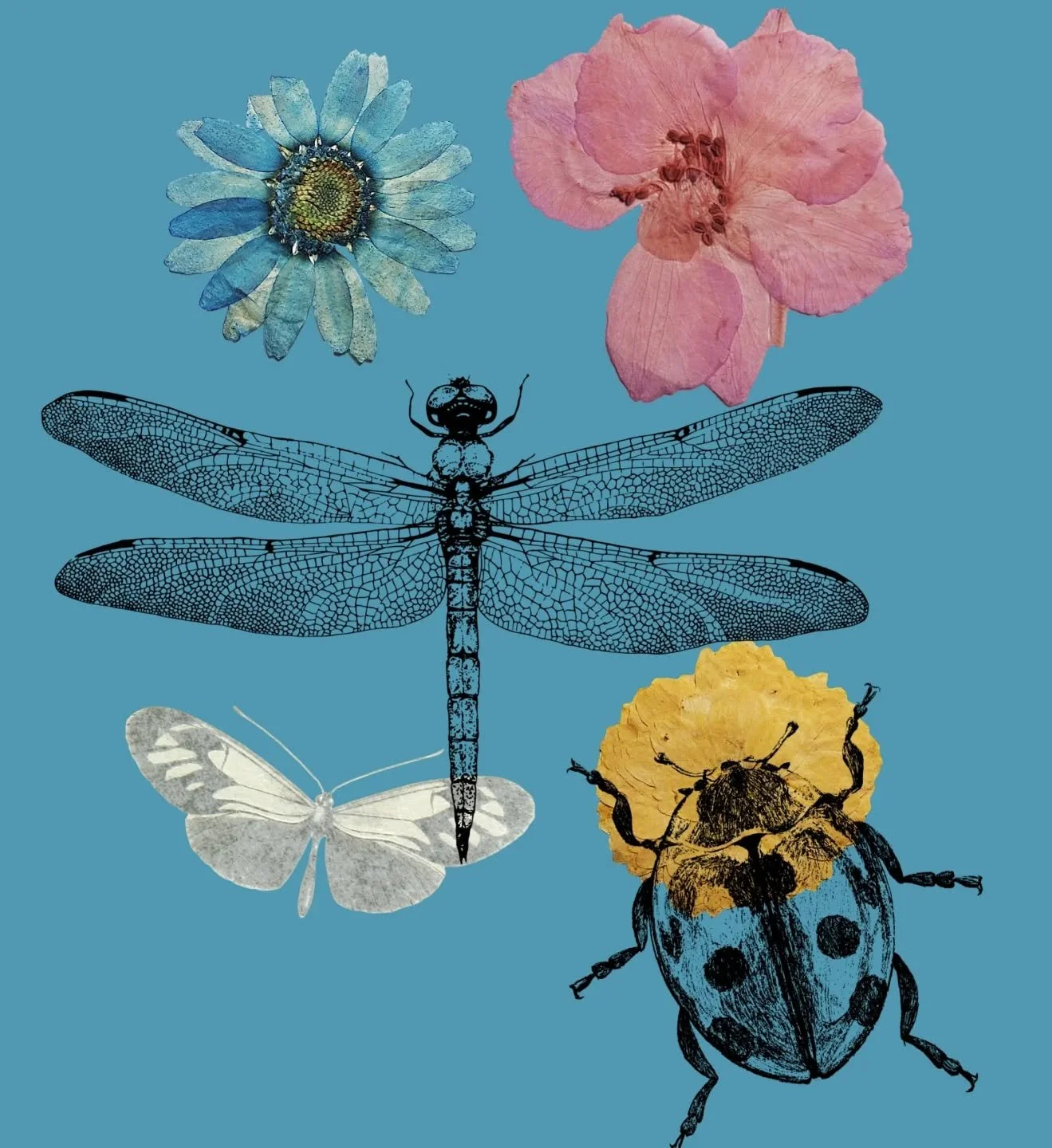 |👣&Sigma;&upsilon;&mu;&beta;&omicron;&upsilon;&lambda;&epsilon;&upsilon;&tau;&iota;&kappa;ή &Gamma;&omicron;&nu;έ&omega;&nu; |

&Eta; &gamma;&omicron;&nu;&epsilon;ϊ&kappa;ό&tau;&eta;&tau;&alpha; &epsilon;ί&nu;&alpha;&iota; &mu;&iota;&alpha; &alpha;&