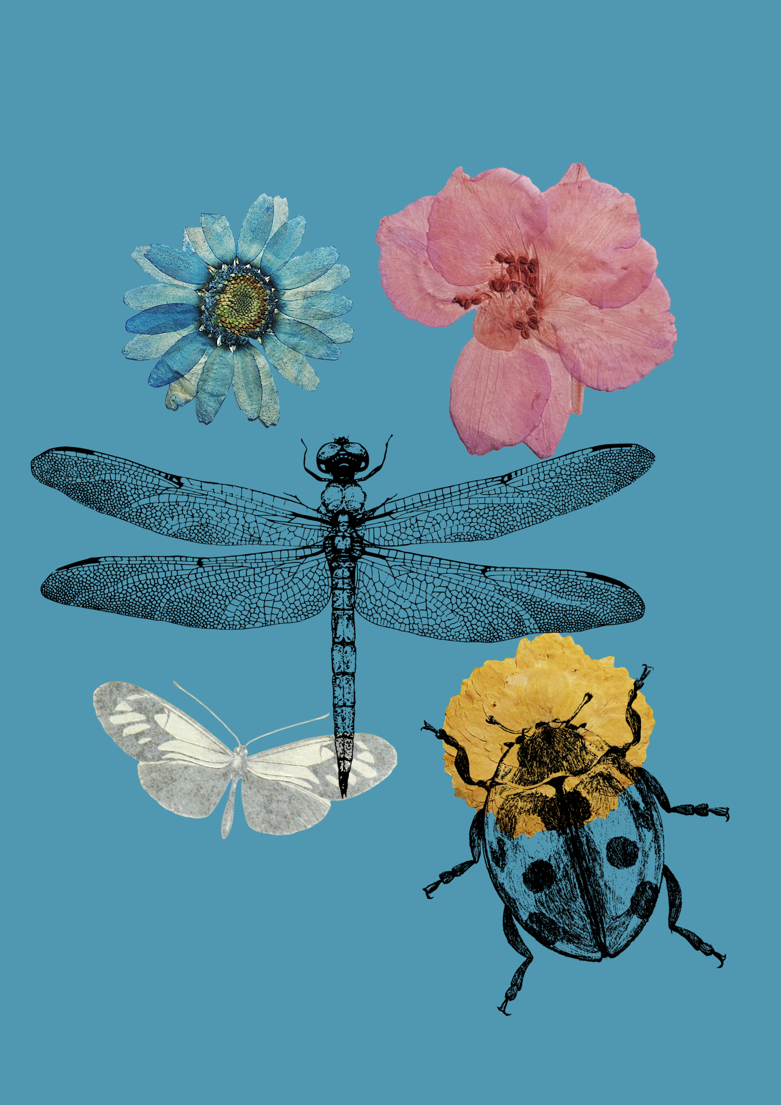 Κολλάζ σε μπλε φόντο, με ιβίσκους, μαργαρίτες, ένα σχέδιο λιβελούλας στο κέντρο, μια λευκή πεταλούδα, μια πασχαλίτσα που μυρίζει ένα κίτρινο ιβίσκο